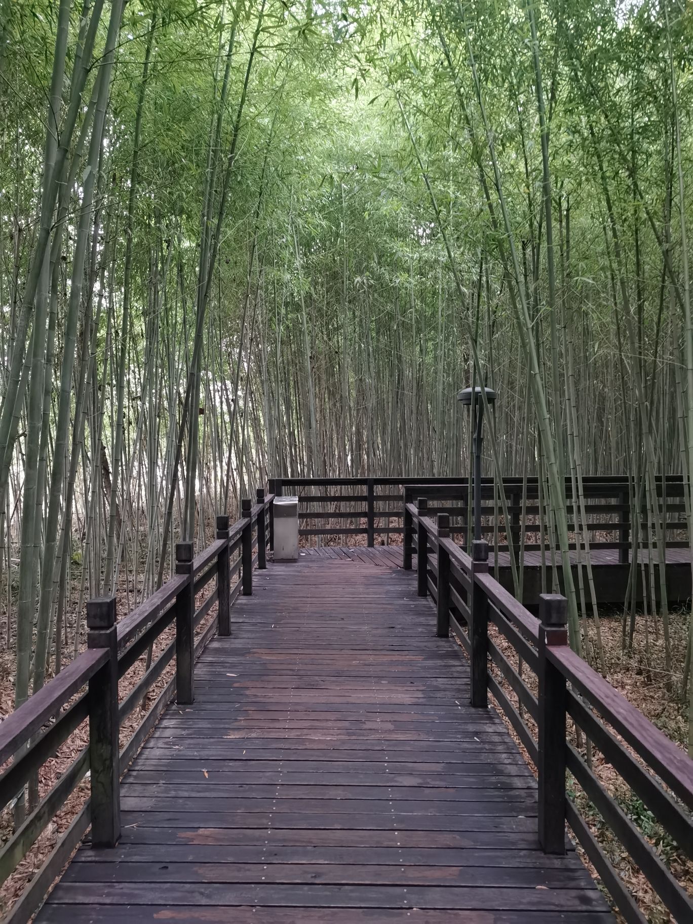 滨河公园