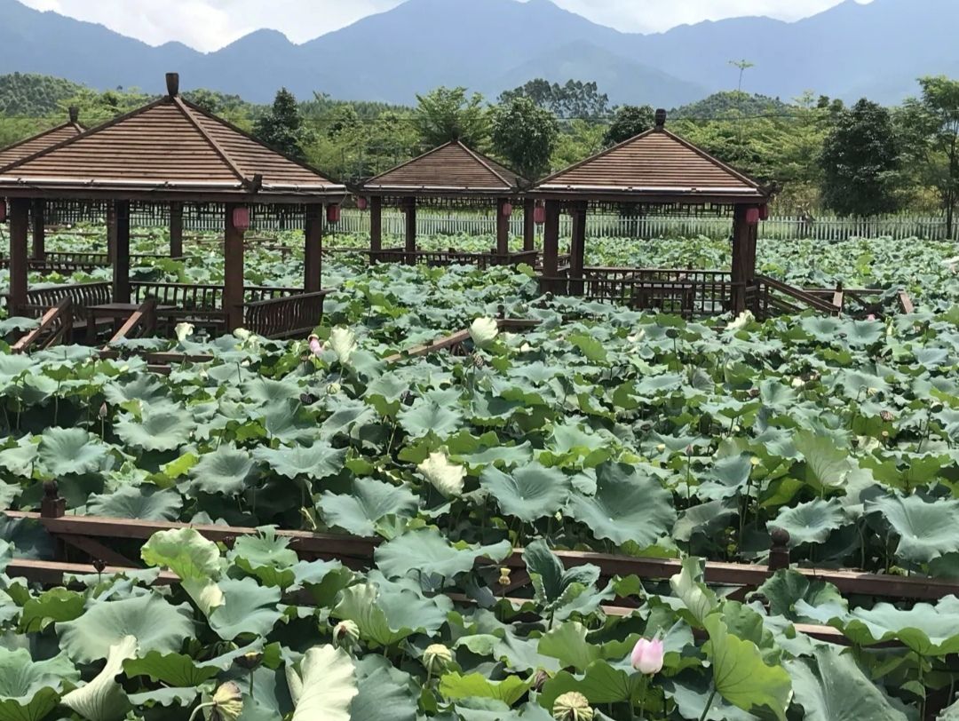 上林禾田农耕文化园旅行图片 2