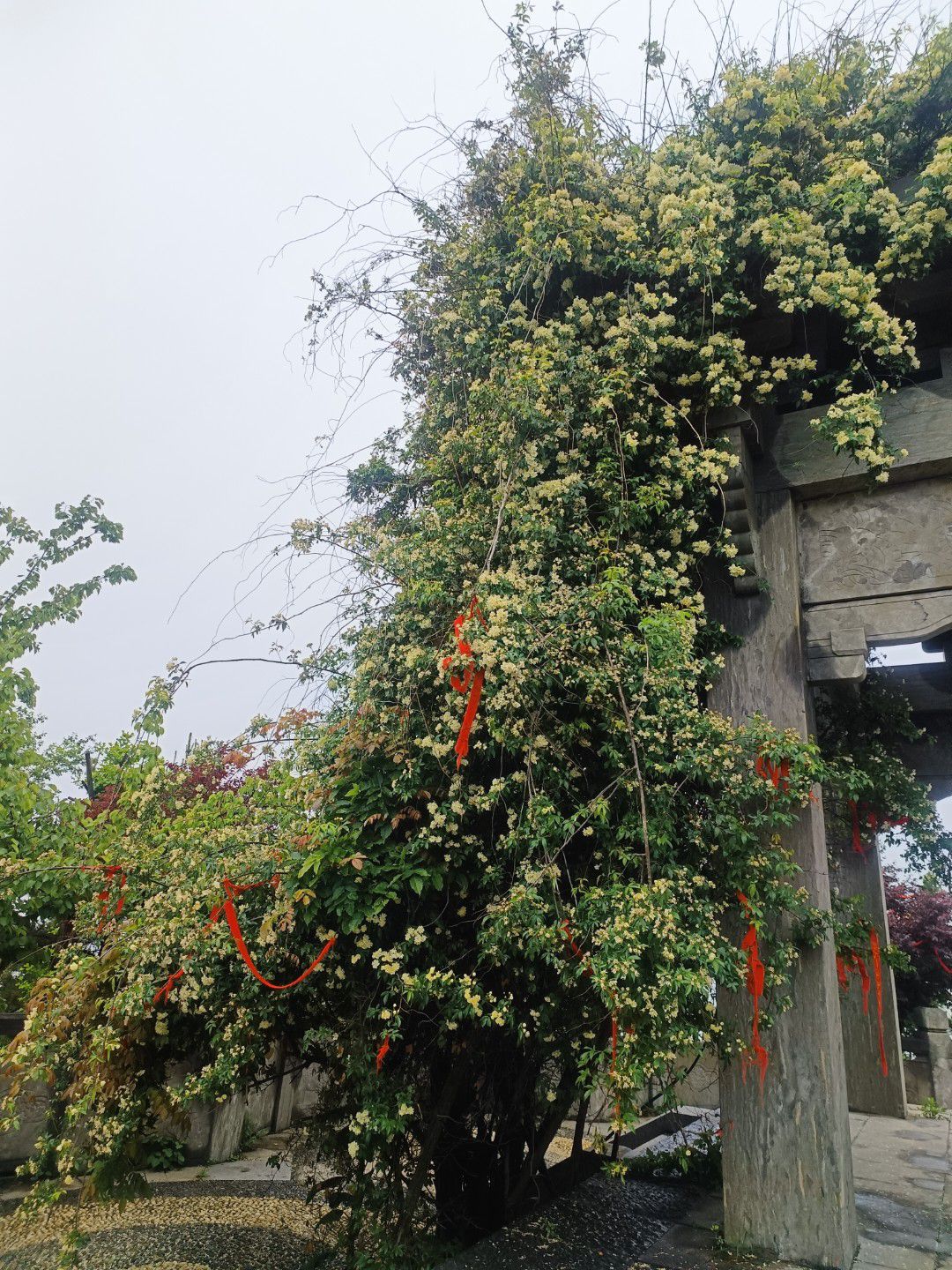 万安山旅游度假区旅行图片 3