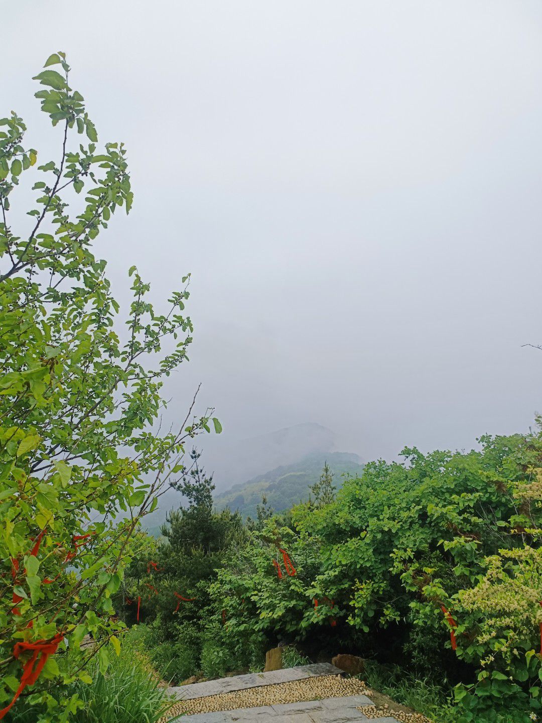 万安山旅游度假区旅行图片 2