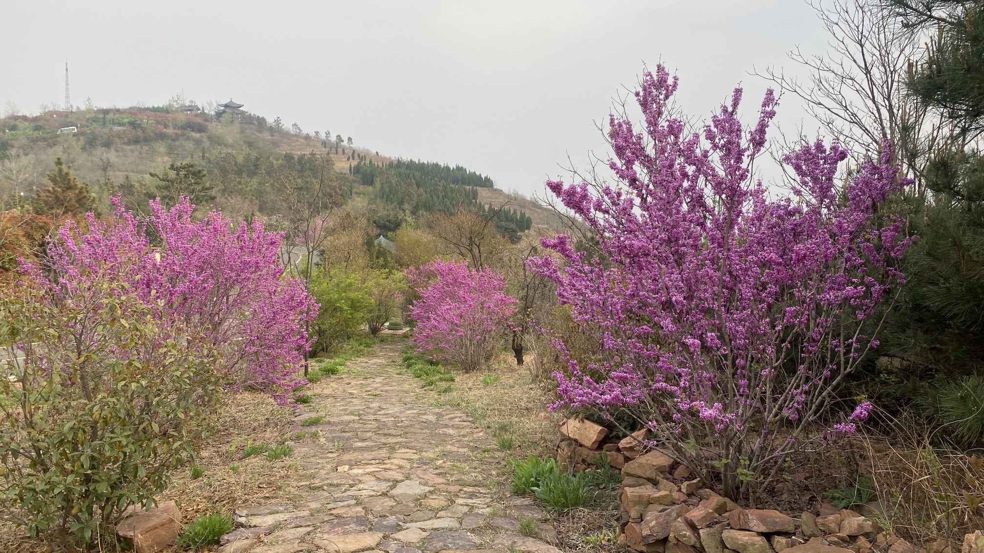 万安山旅游度假区旅行图片 3