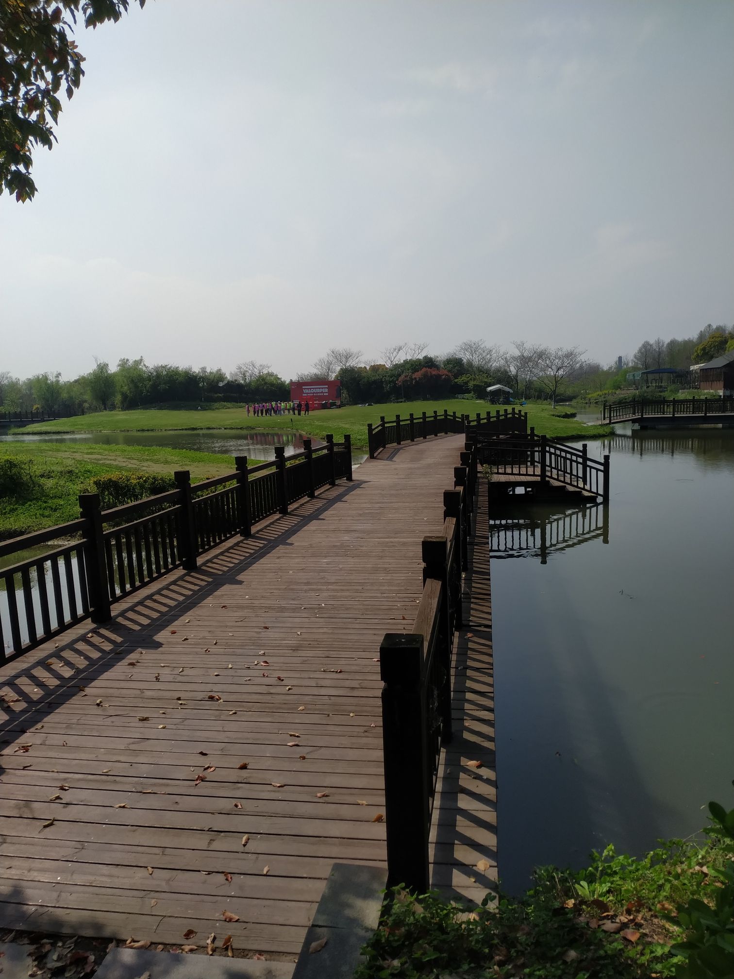 水八仙生态文化园旅行图片 1