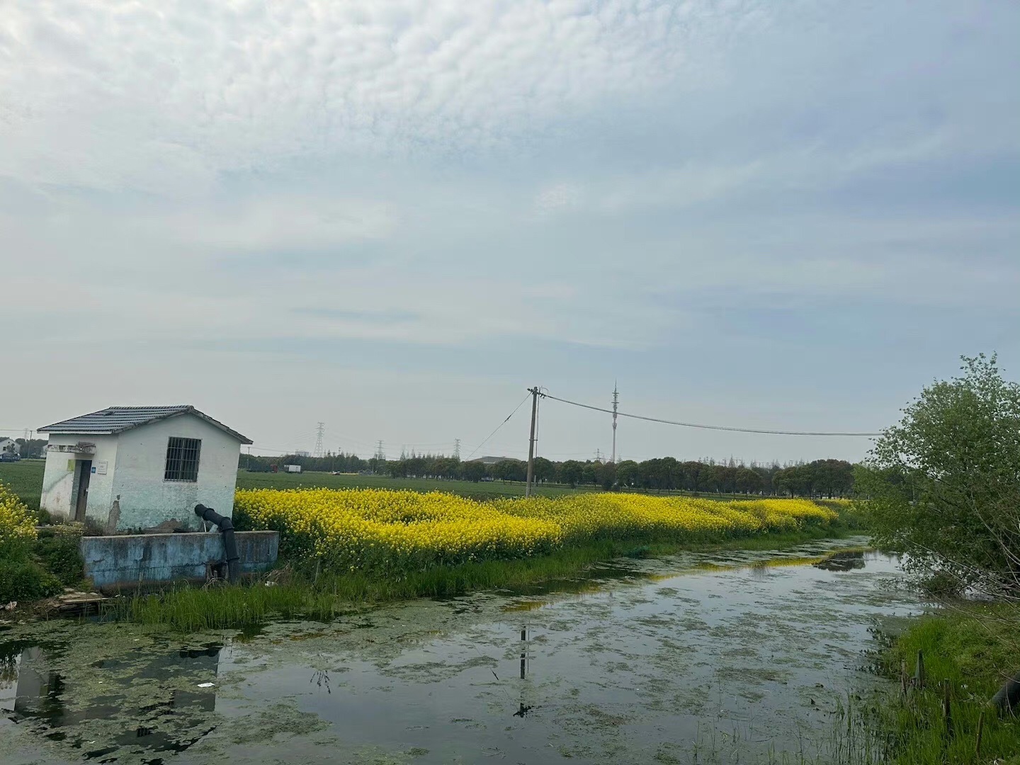 水八仙生态文化园旅行图片 3