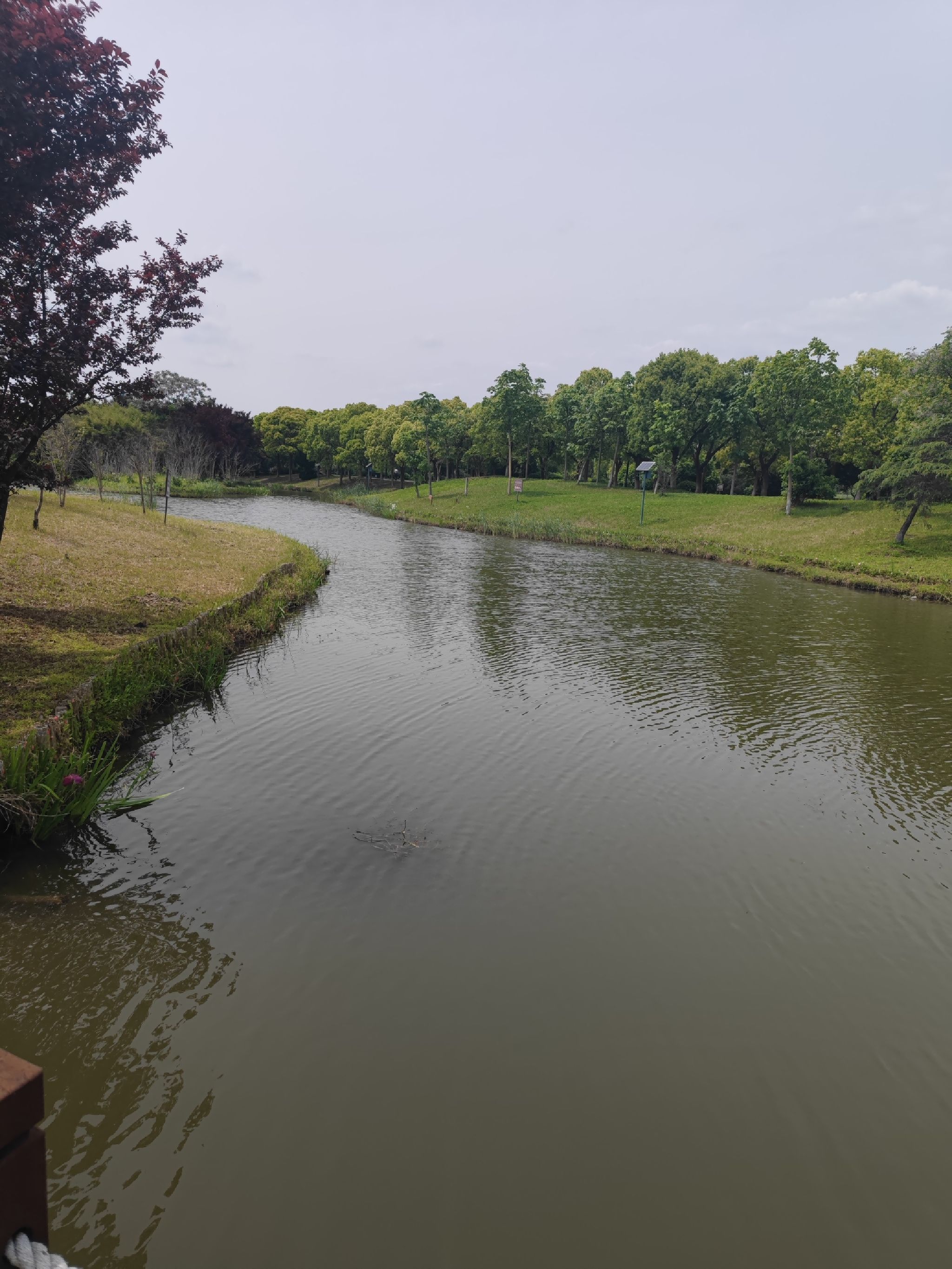 水八仙生态文化园旅行图片 2
