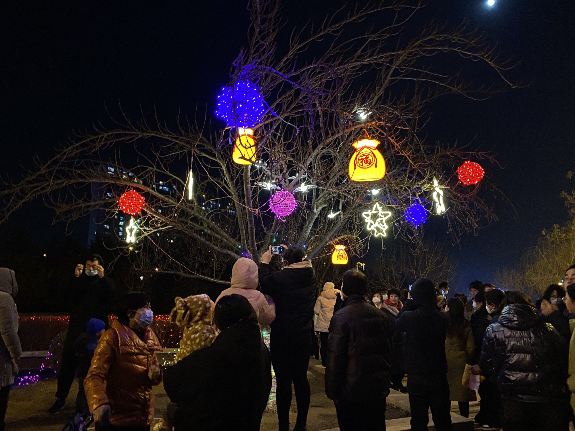 凤凰岭公园旅行图片 3