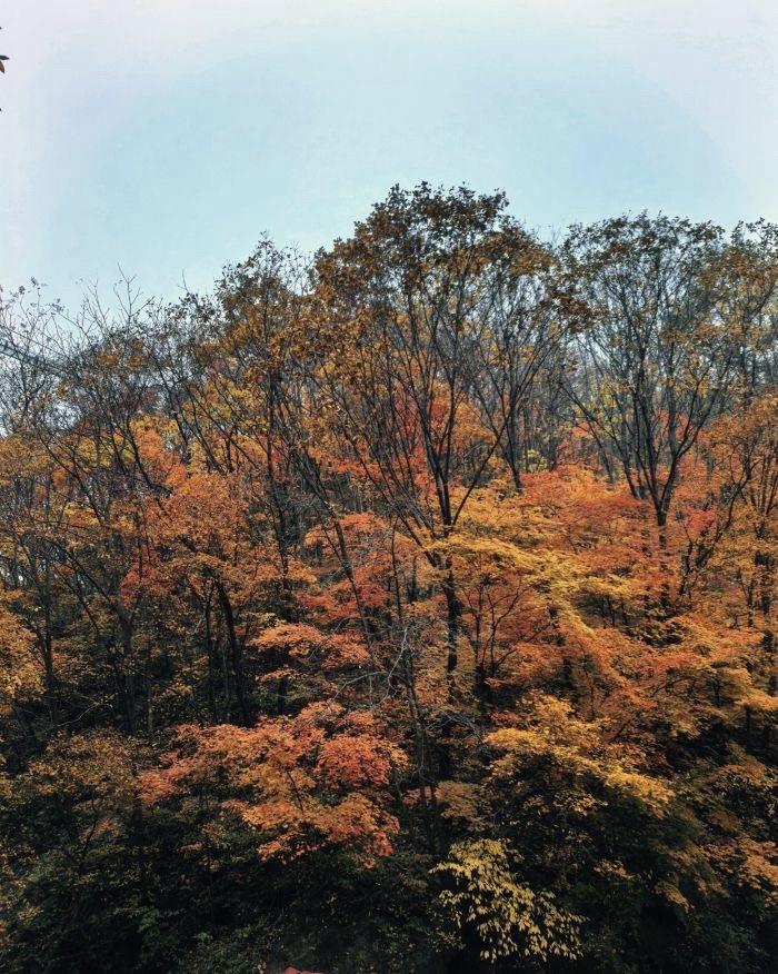 玉龙溪大峡谷风景区(暂停开放)旅行图片 2