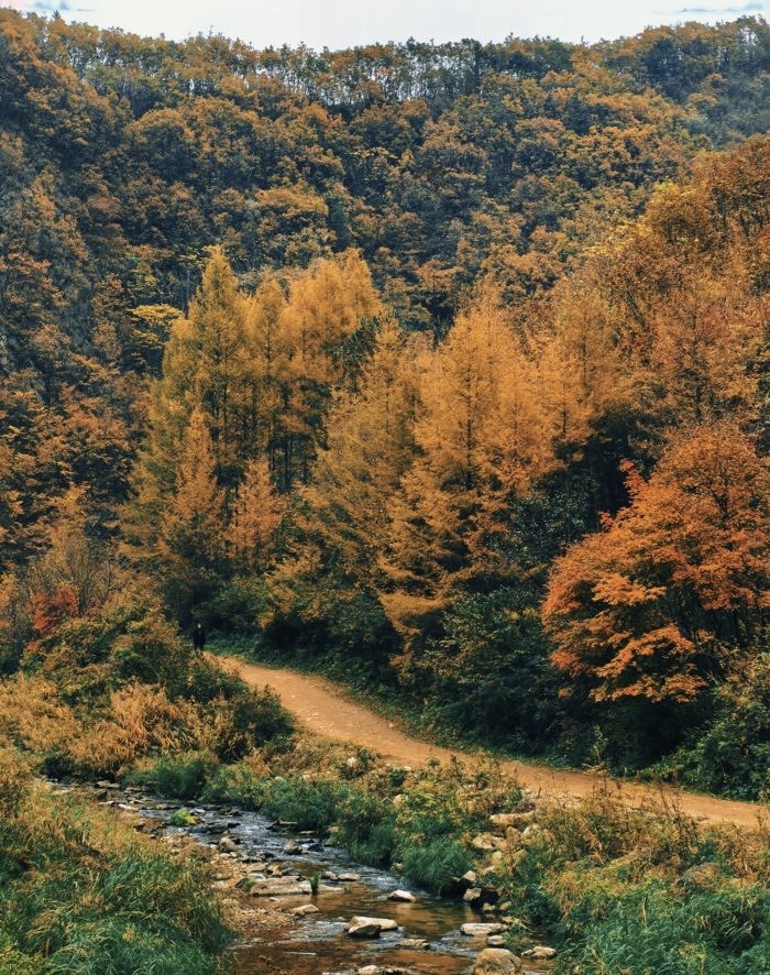 玉龙溪大峡谷风景区(暂停开放)旅行图片 3