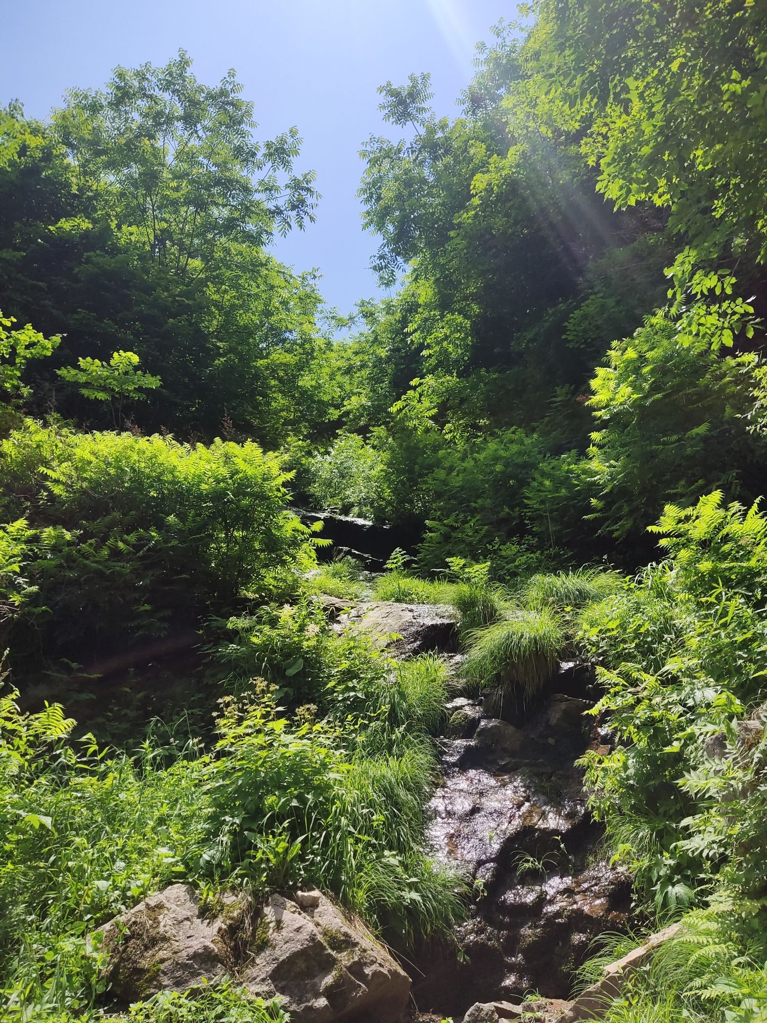 玉龙溪大峡谷风景区(暂停开放)旅行图片 3