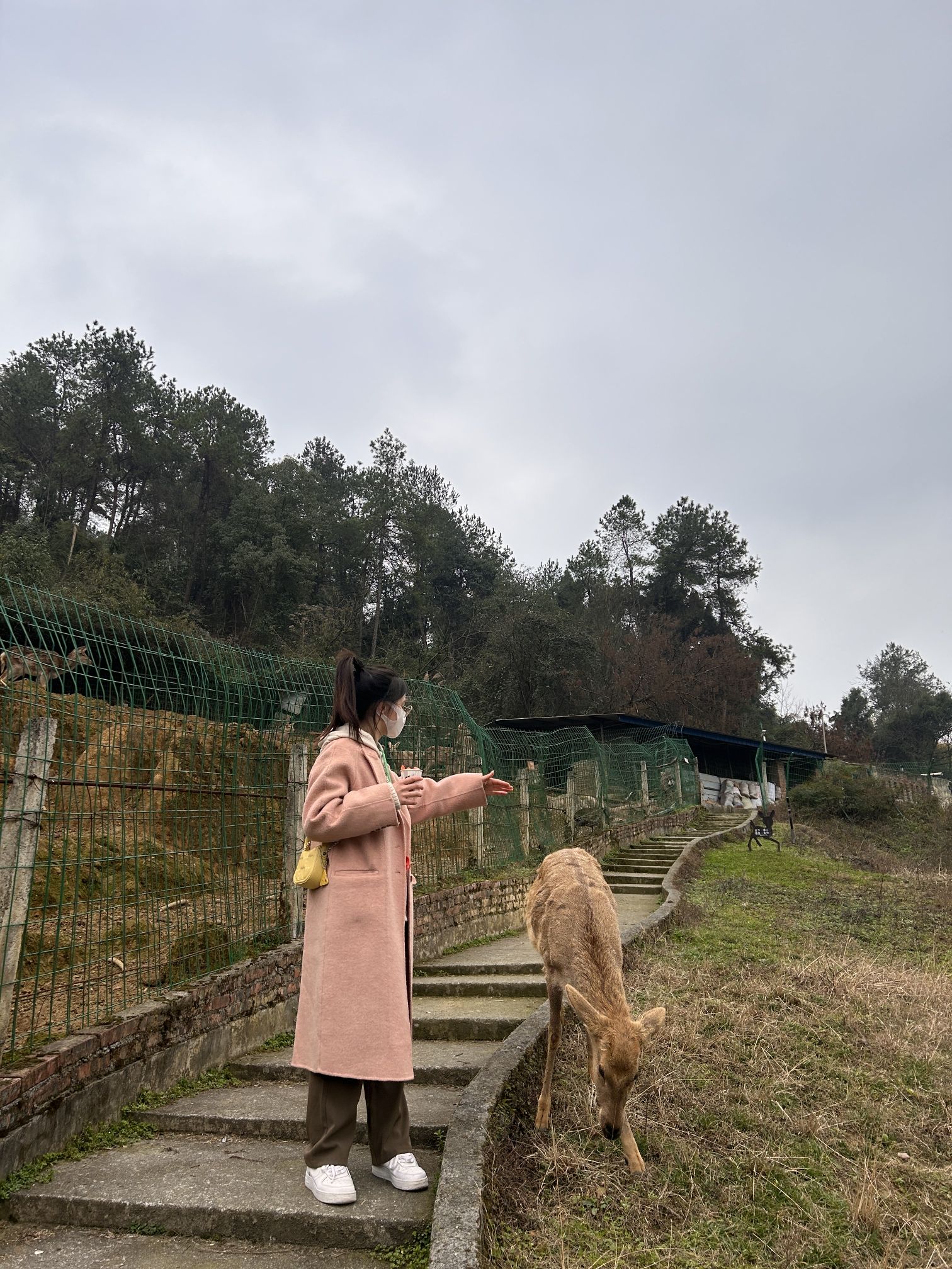 巴南羊鹿山常青国际养生园旅行图片 3