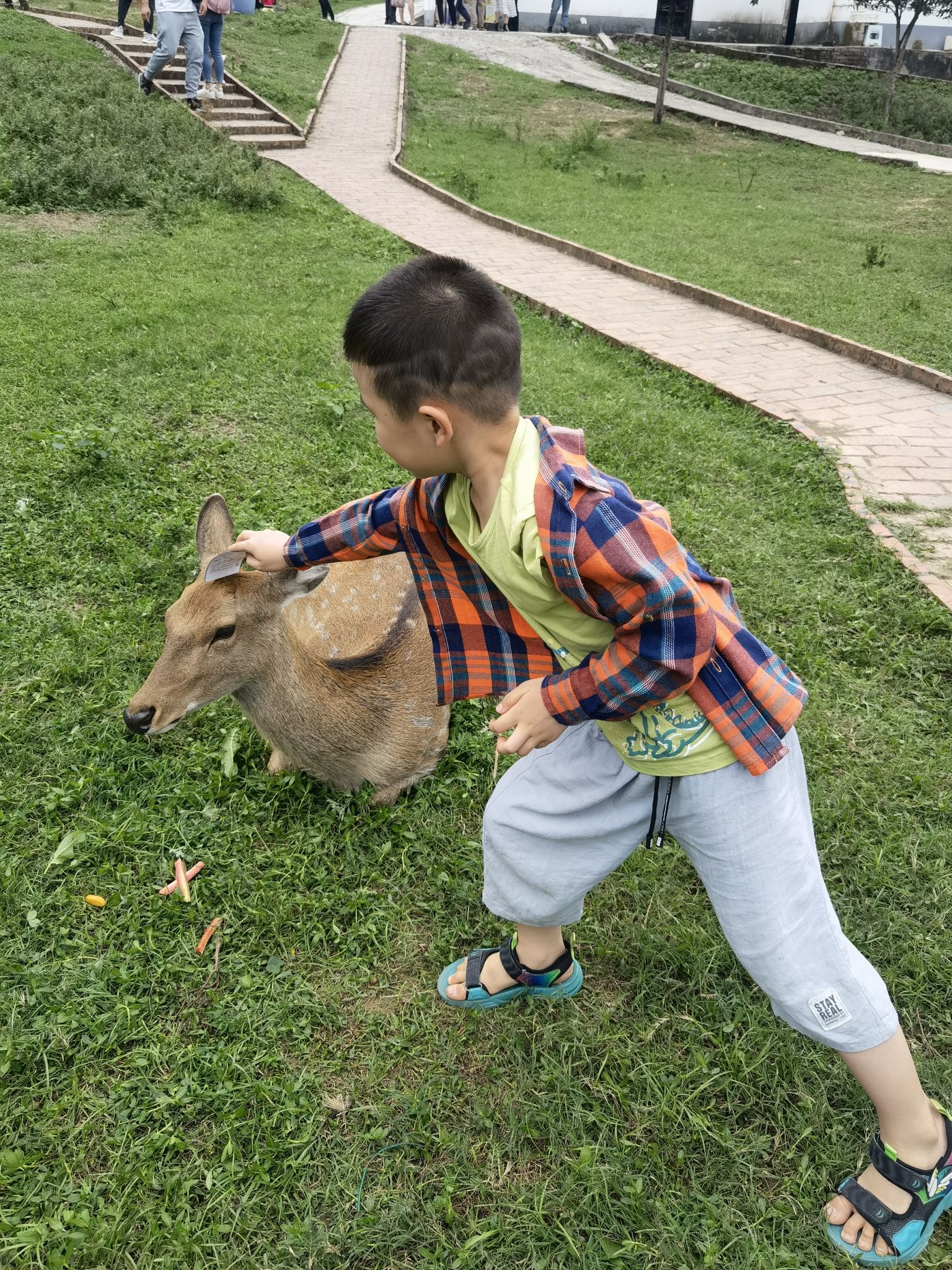 巴南羊鹿山常青国际养生园旅行图片 1