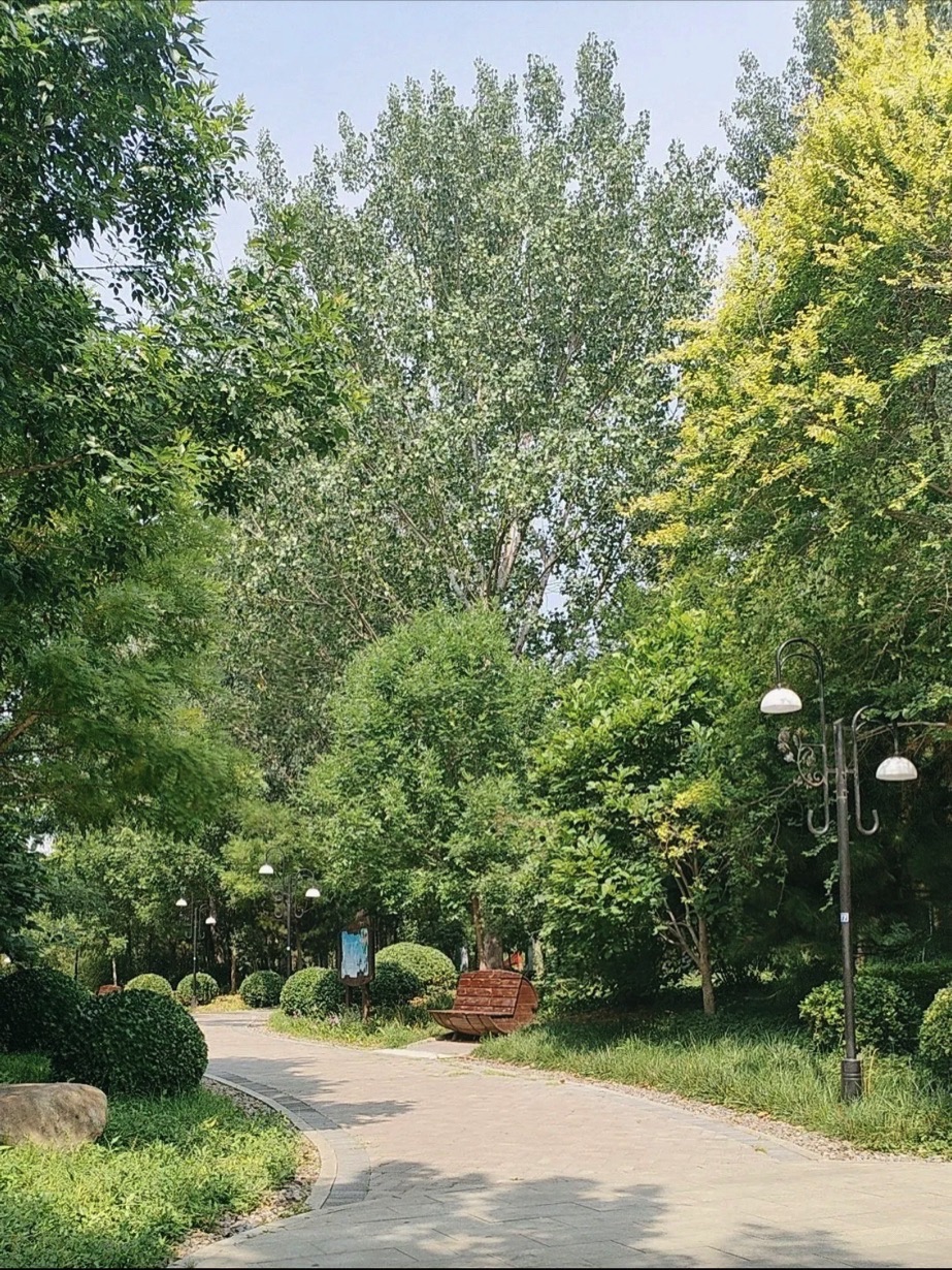 东山公园旅行图片 2