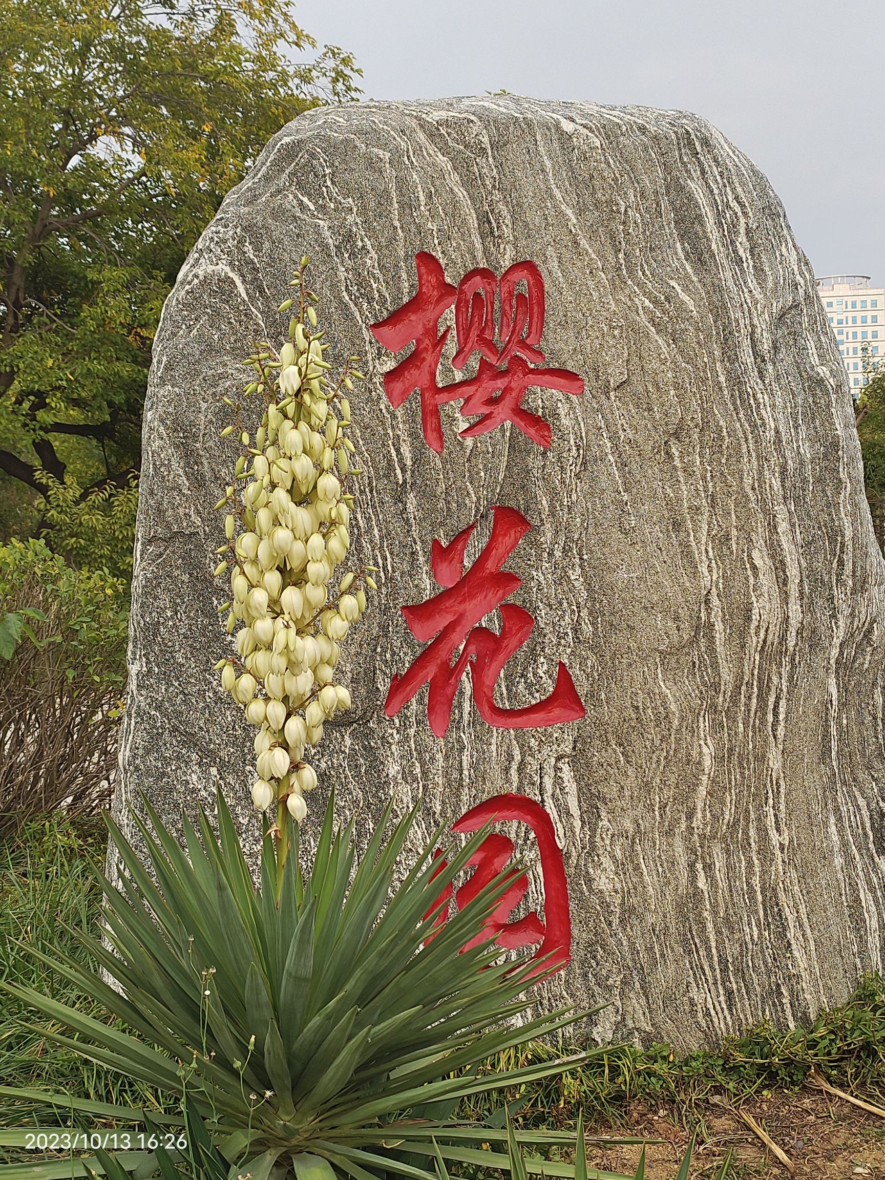 东山公园旅行图片 1