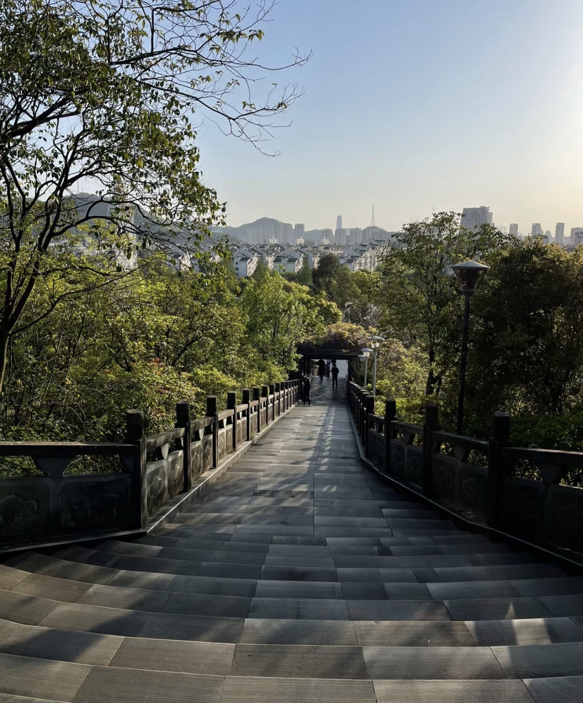 东山公园旅行图片 3