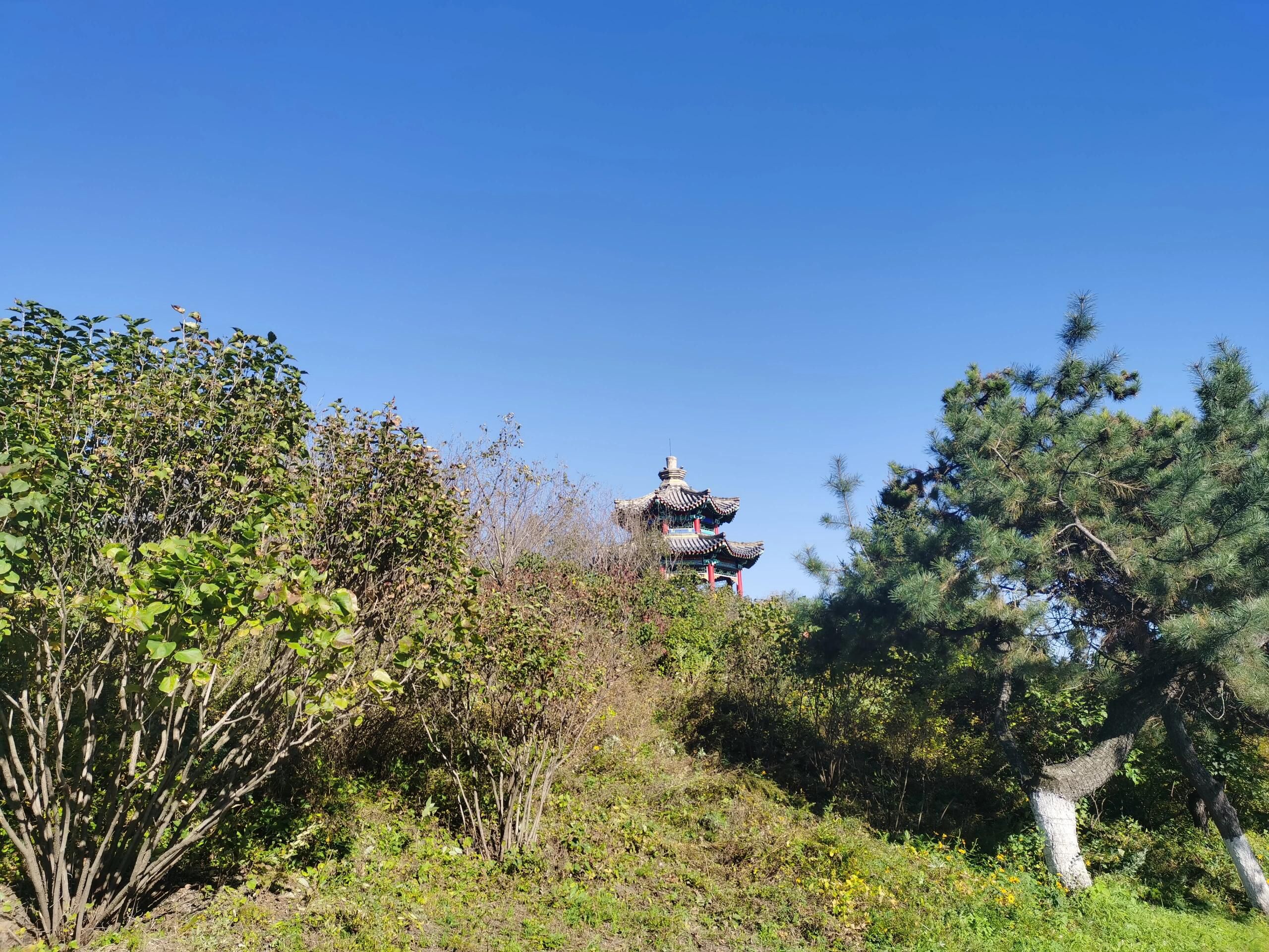 东山公园旅行图片 1