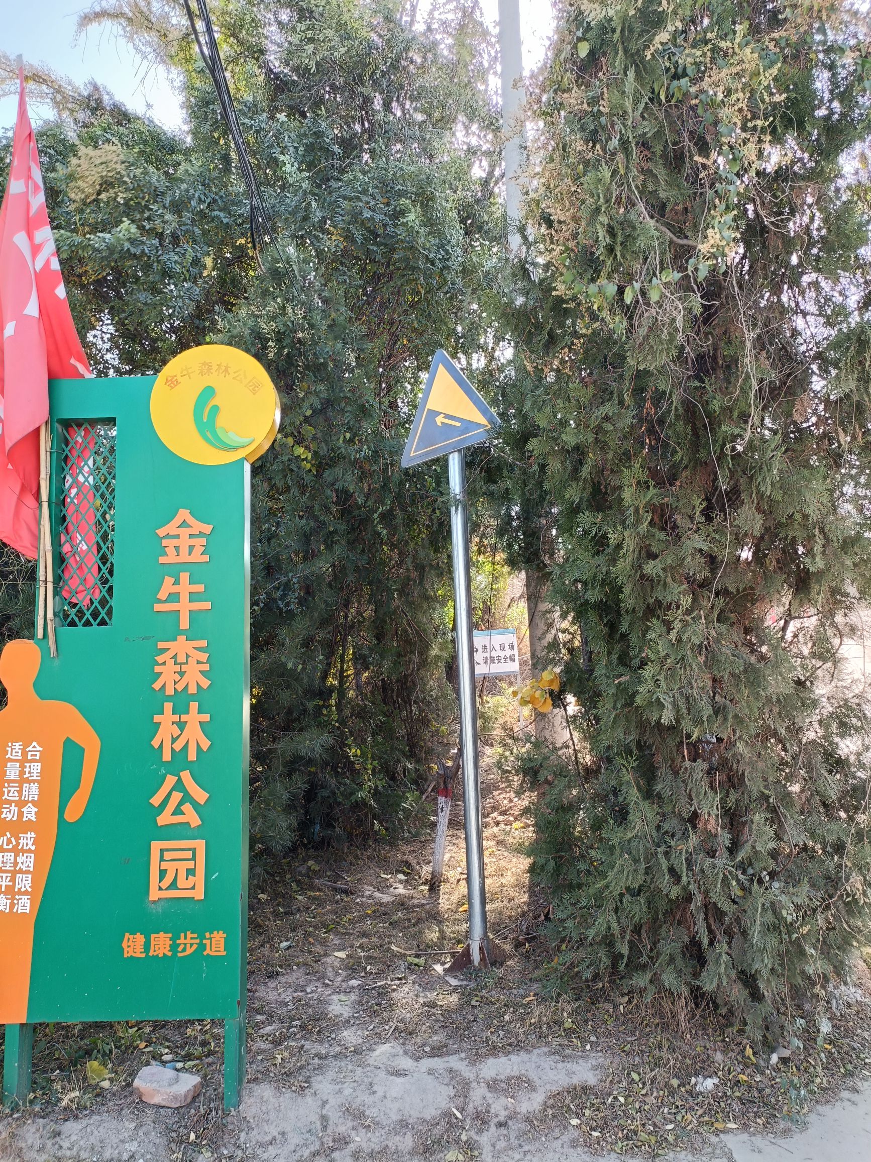 金牛森林公园旅行图片 1