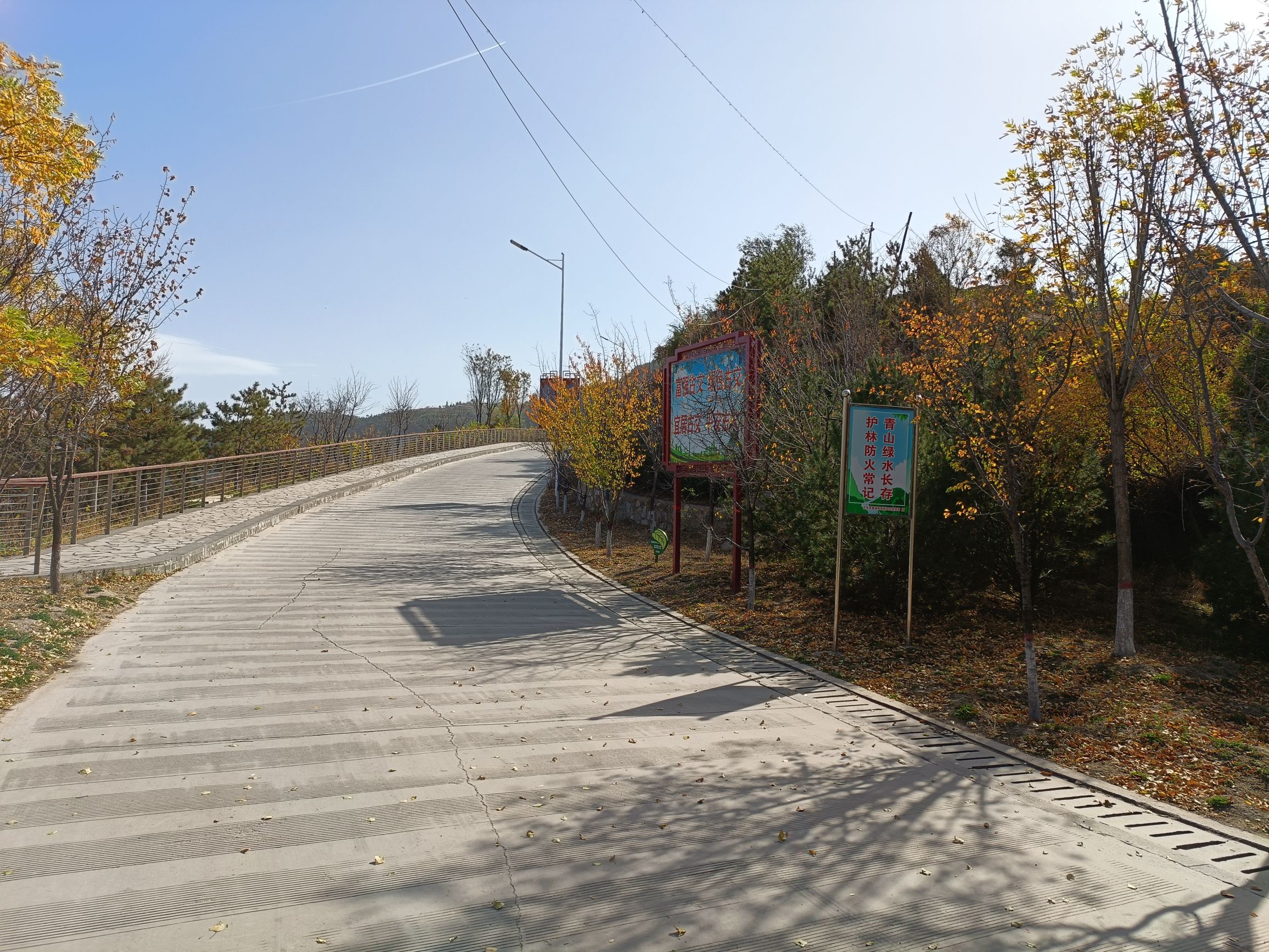 金牛森林公园旅行图片 2