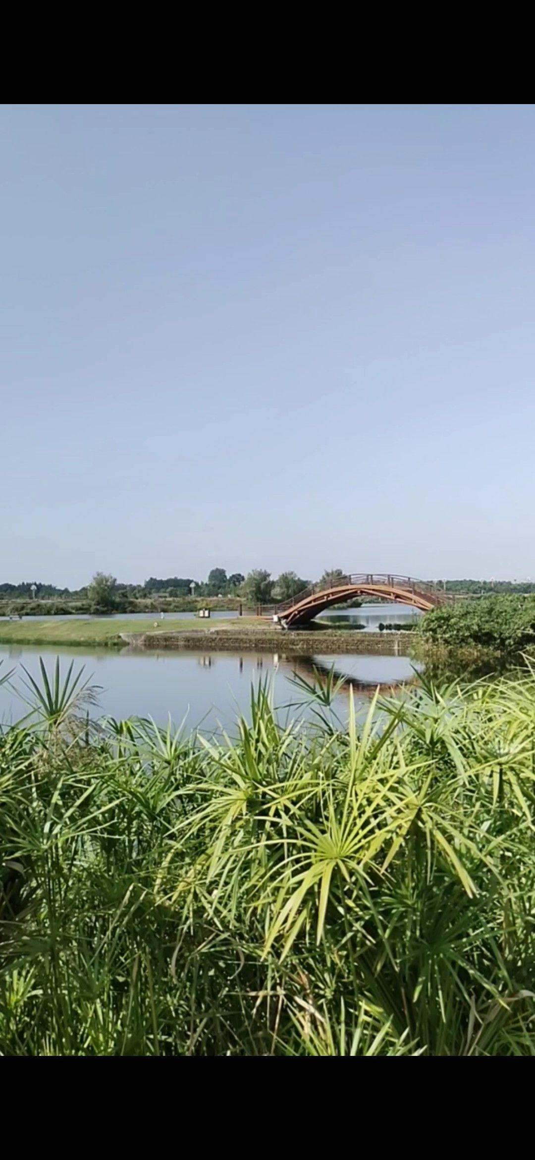 寿乡水岸·五湖四海旅行图片 1