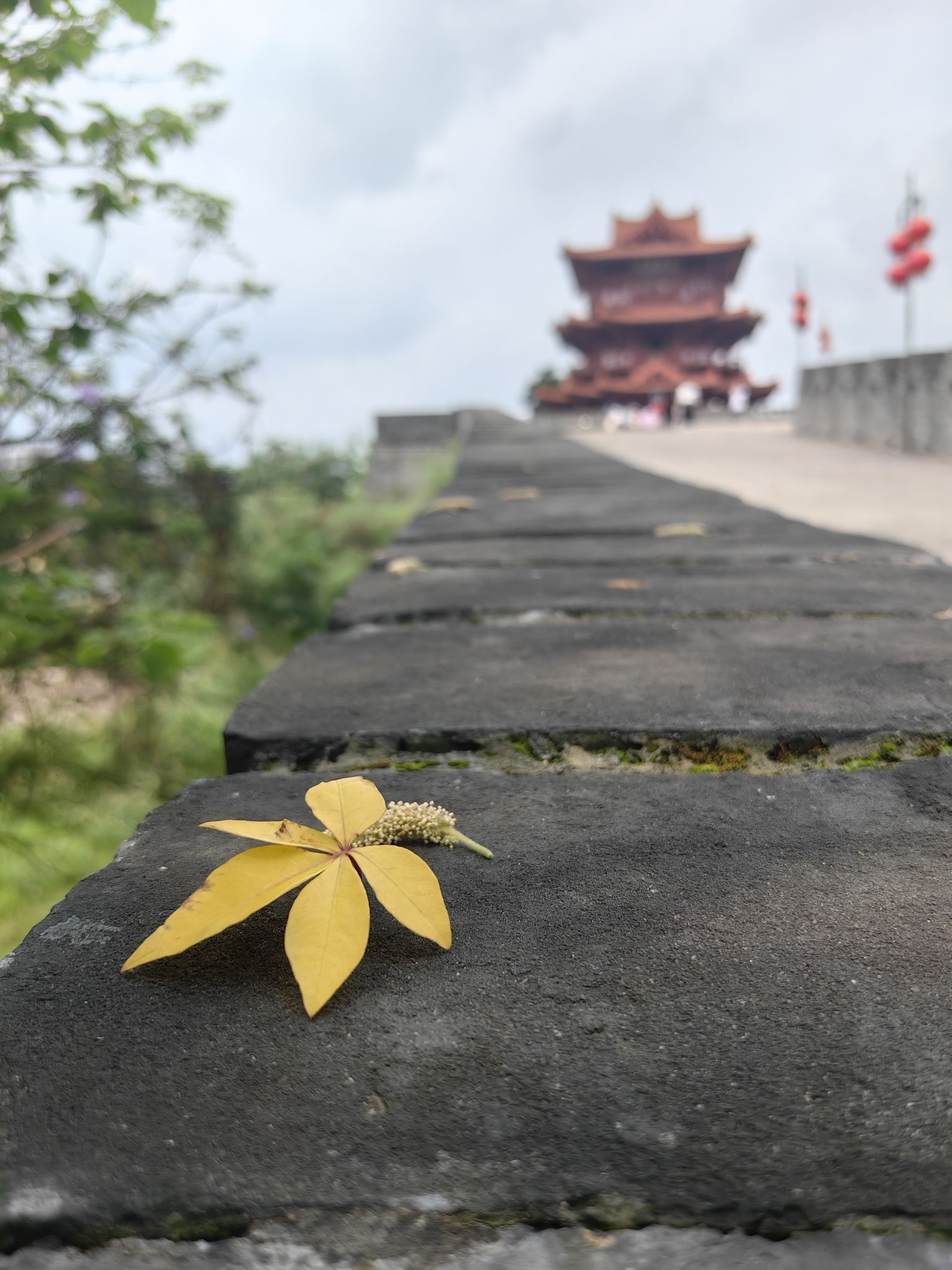 肇庆古城墙旅行图片 3