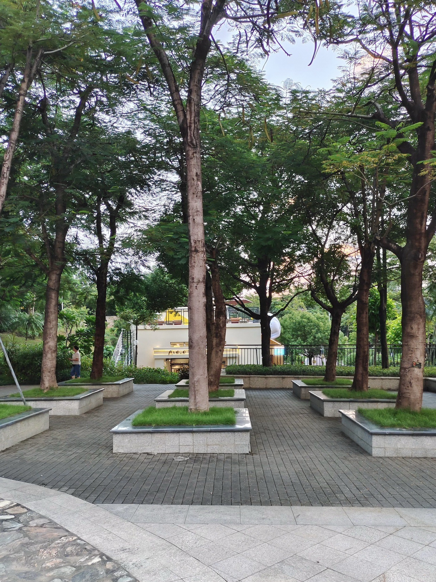 深圳沙井公园旅行图片 2