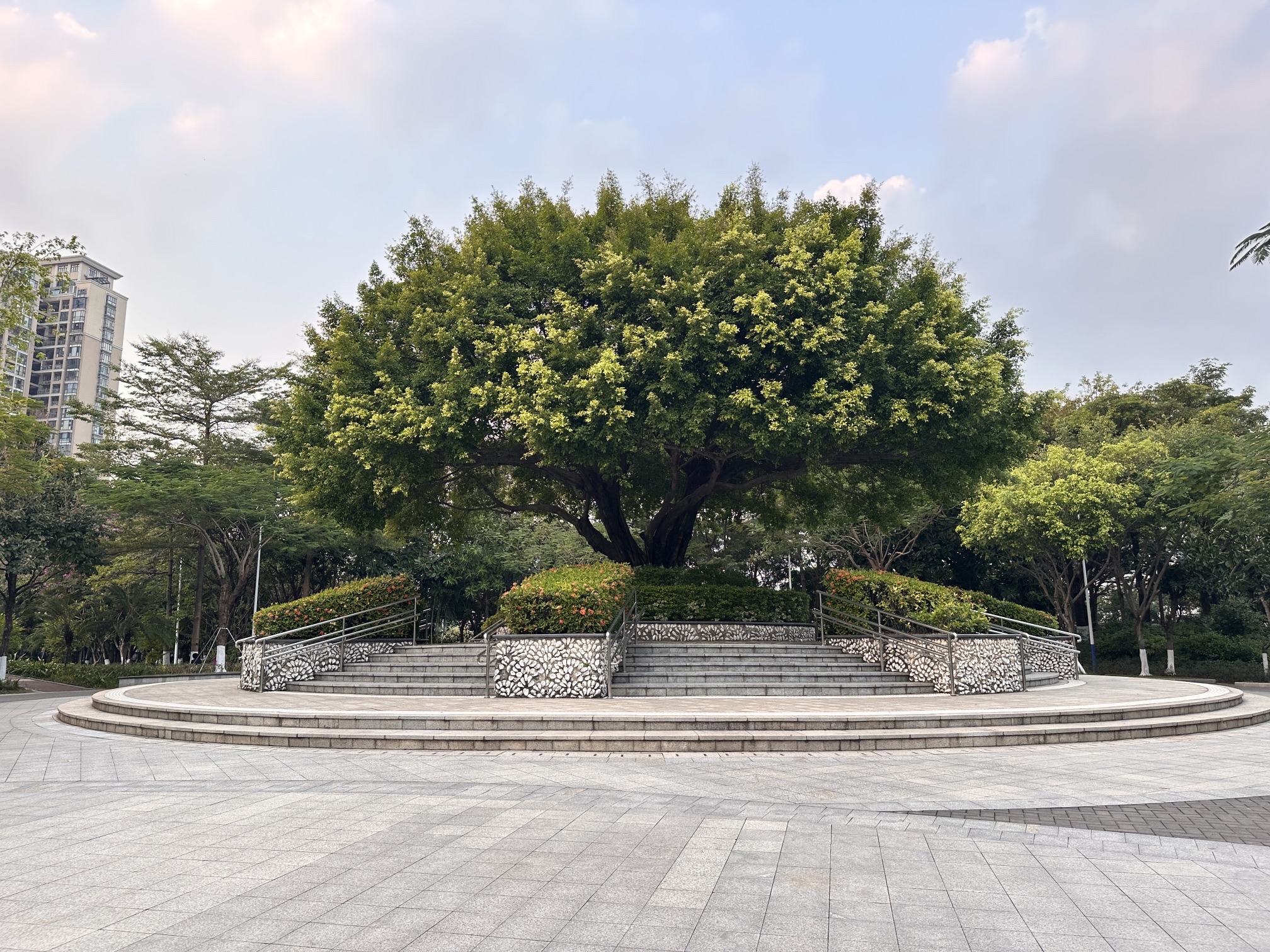 深圳沙井公园旅行图片 3