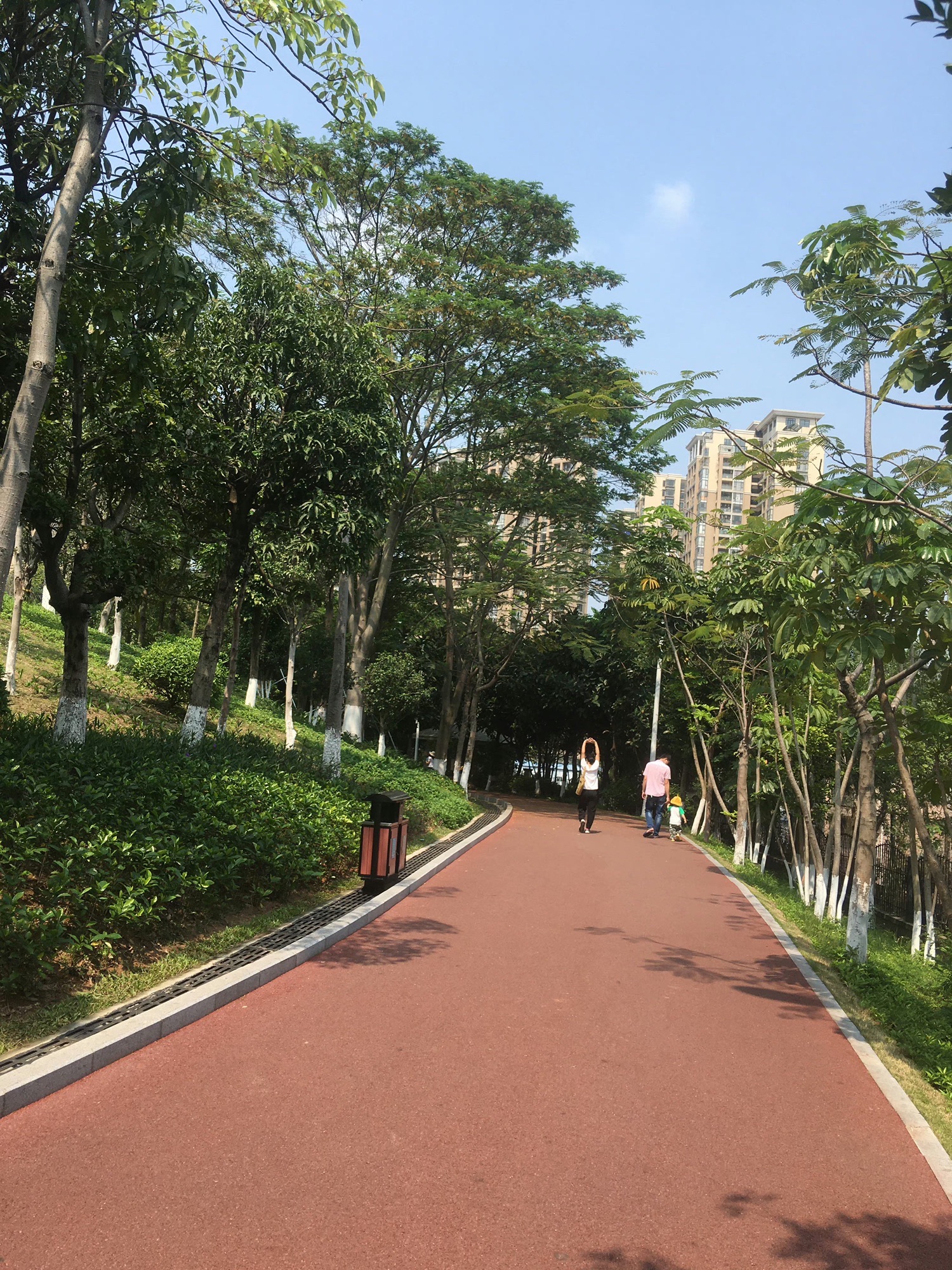 深圳沙井公园旅行图片 3