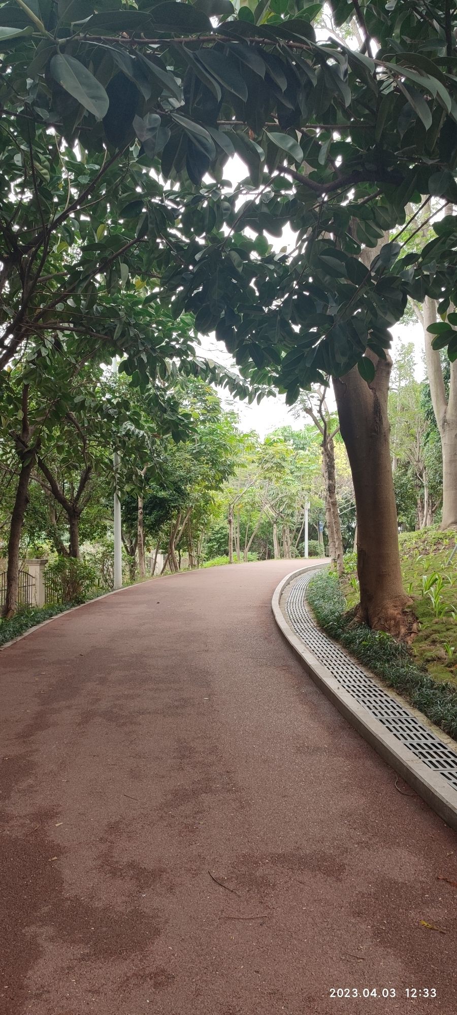 深圳沙井公园旅行图片 2