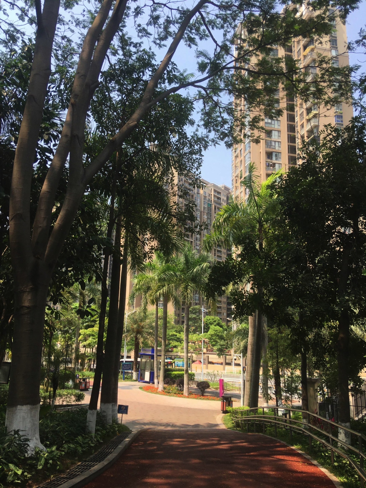 深圳沙井公园旅行图片 2