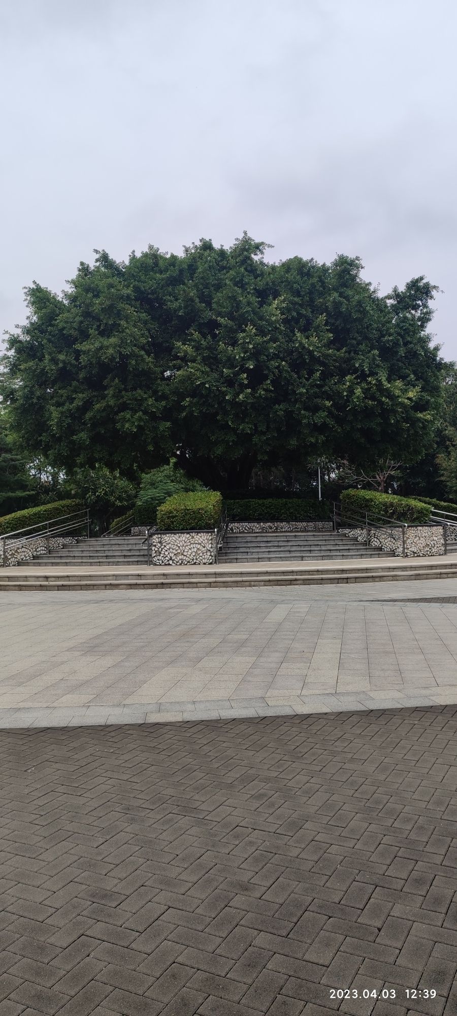深圳沙井公园旅行图片 1