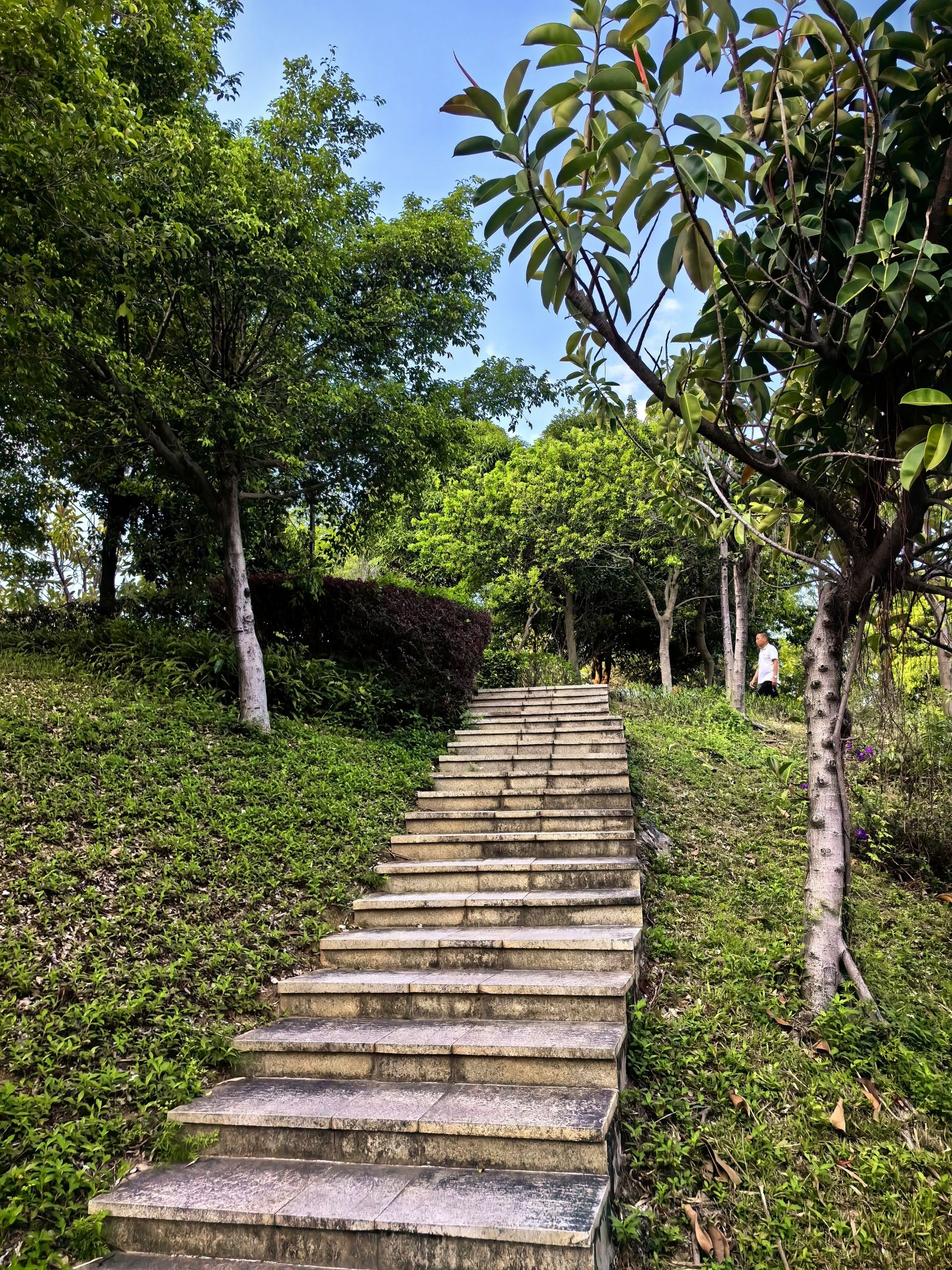 深圳沙井公园旅行图片 3