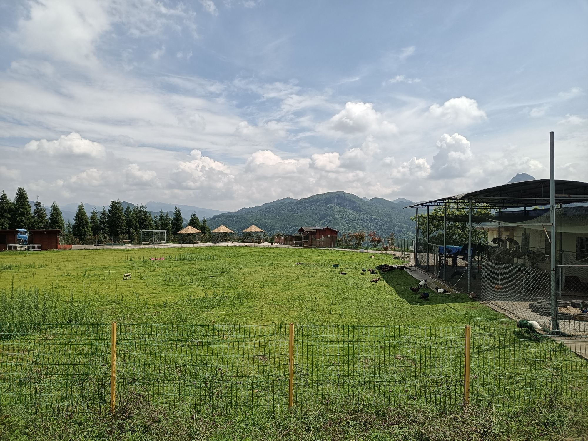 黔北花海旅行图片 1