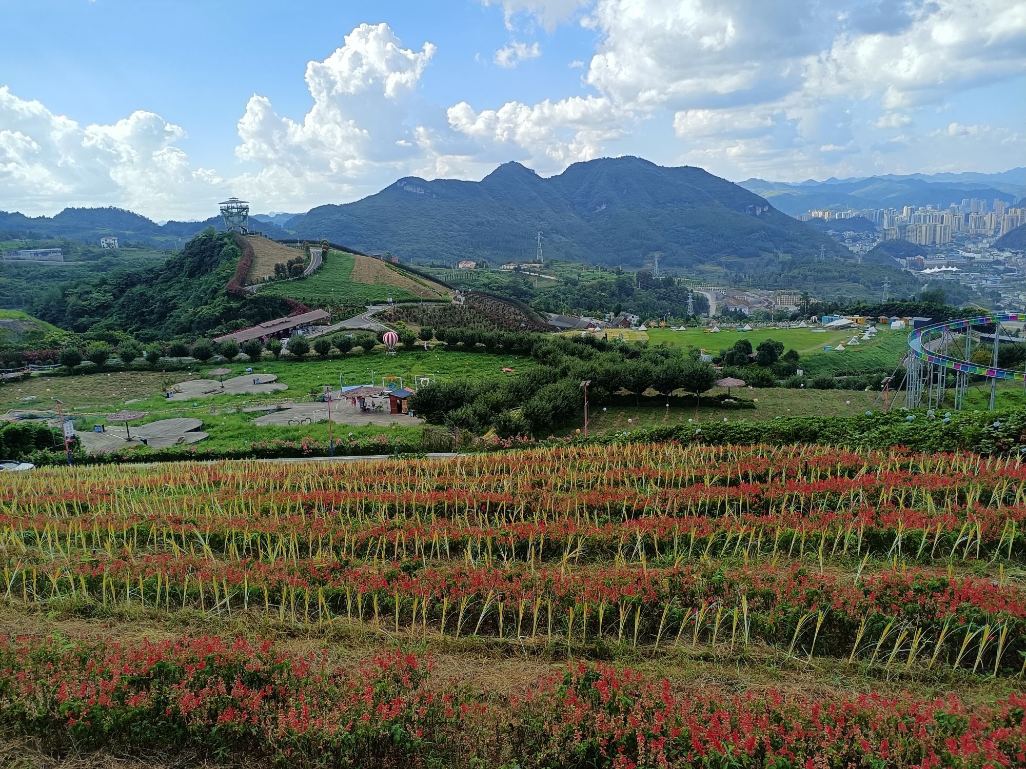 黔北花海旅行图片 2