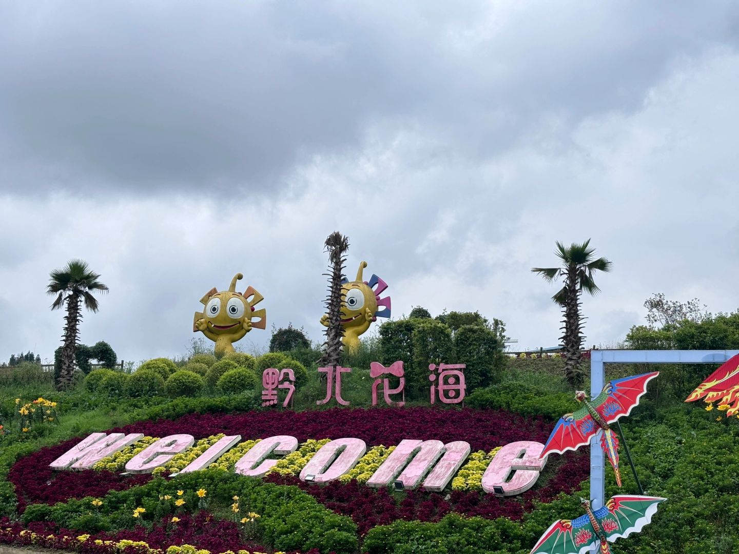 黔北花海旅行图片 1
