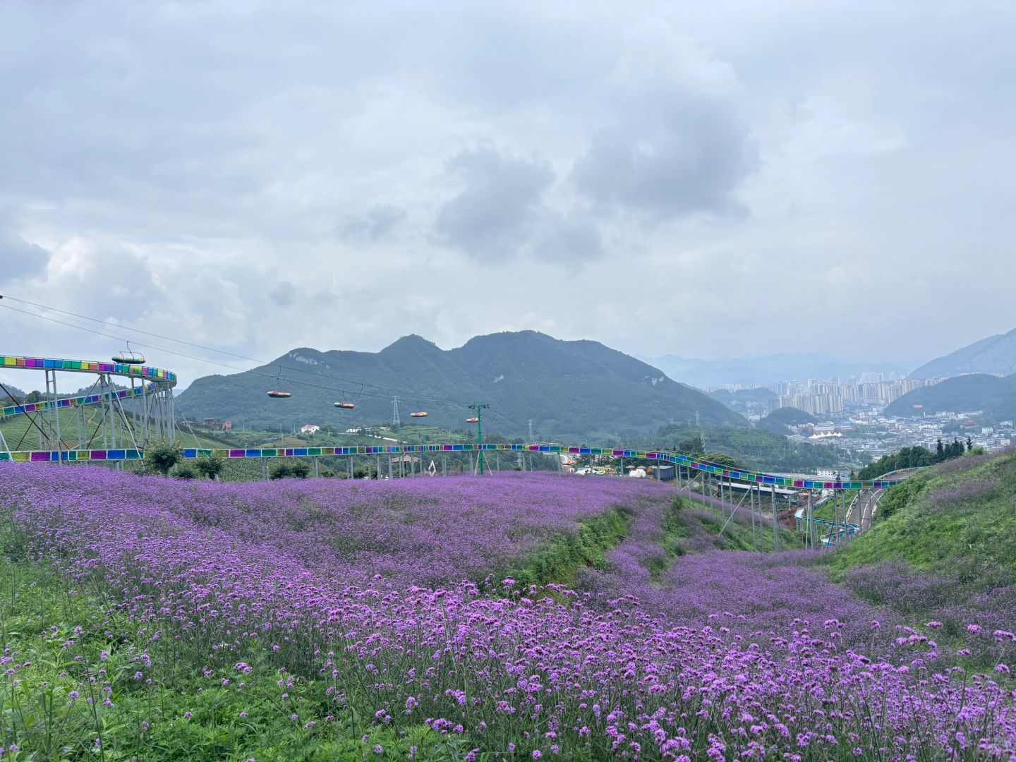 黔北花海旅行图片 2