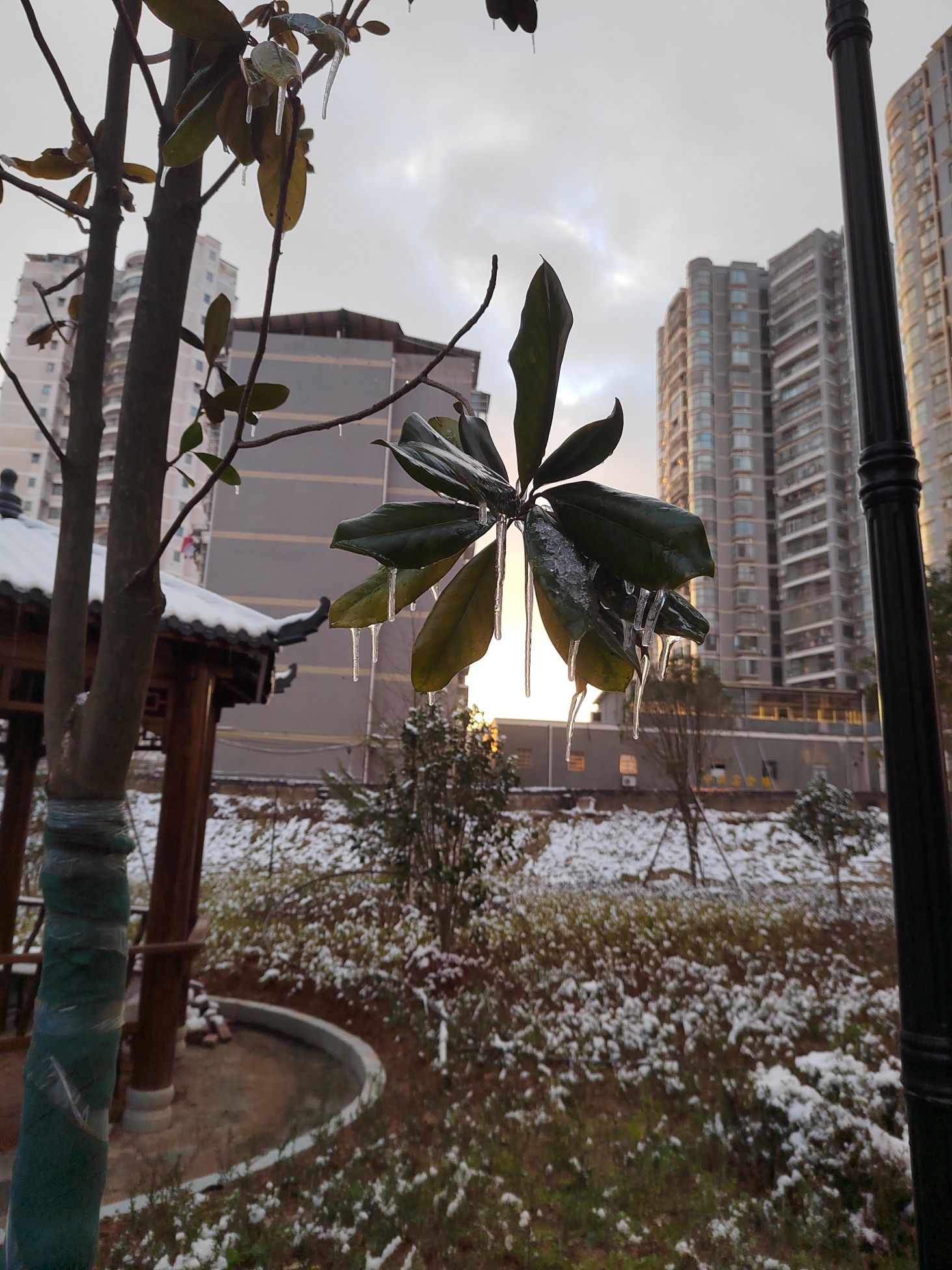 中兴广场旅行图片 1
