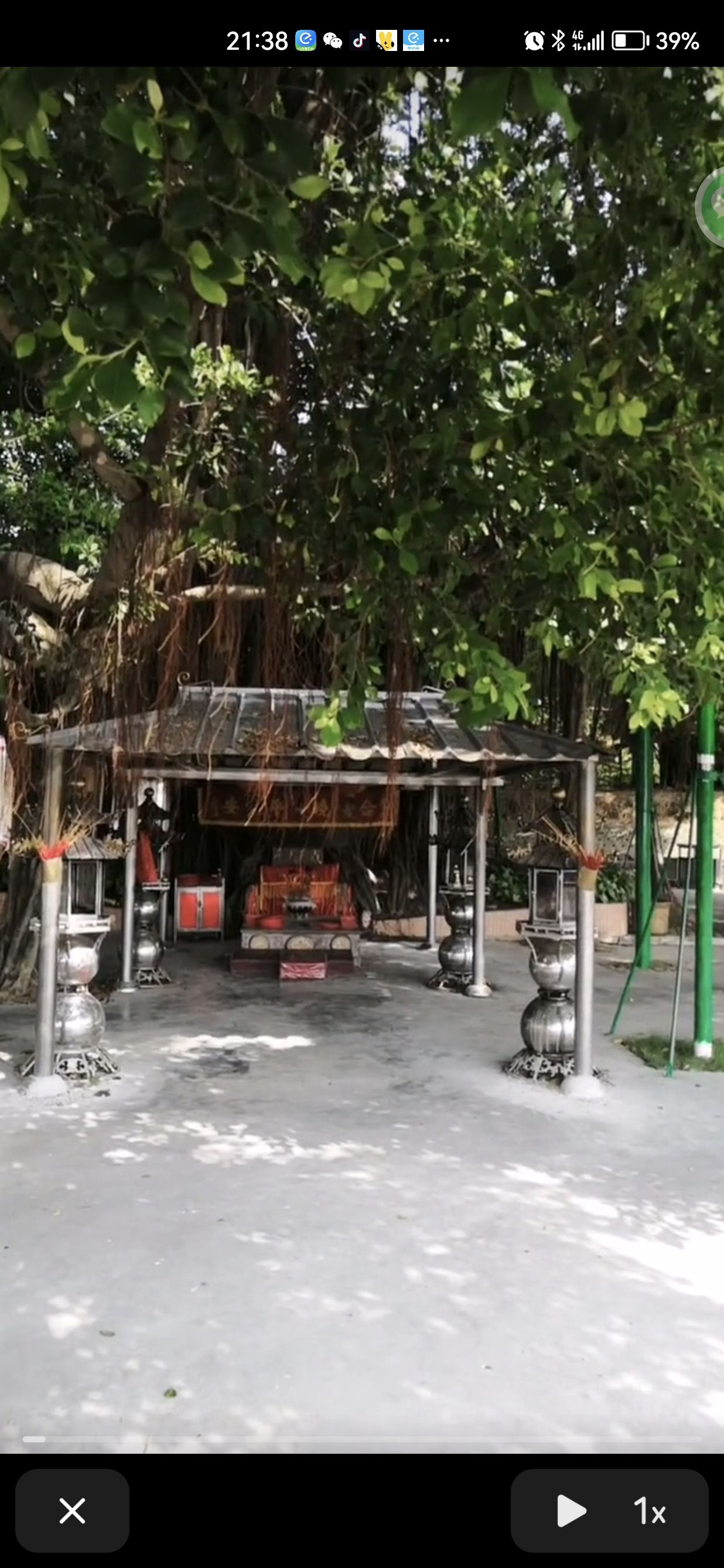 横山公园旅行图片 2