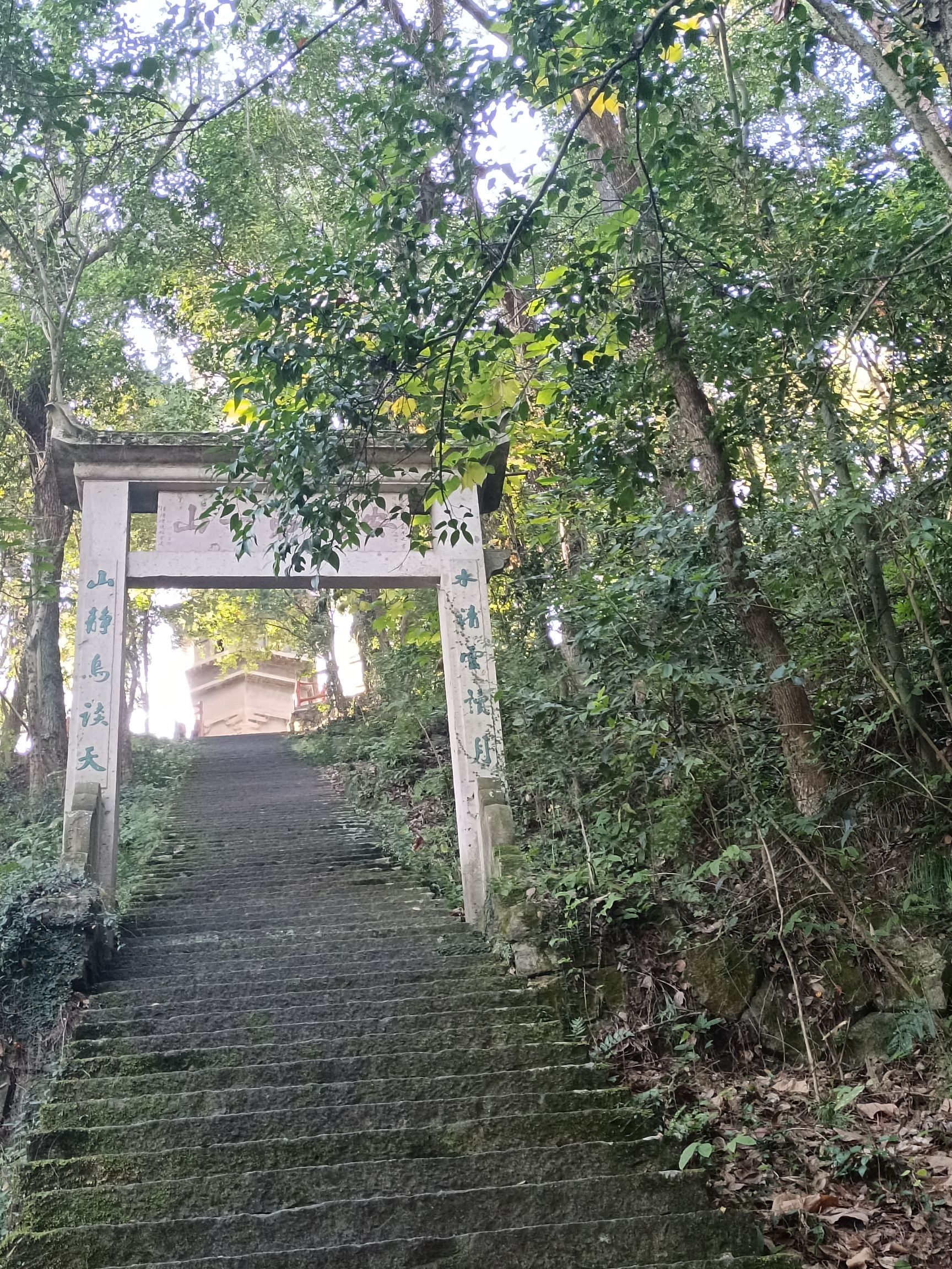 南峰公园旅行图片 1