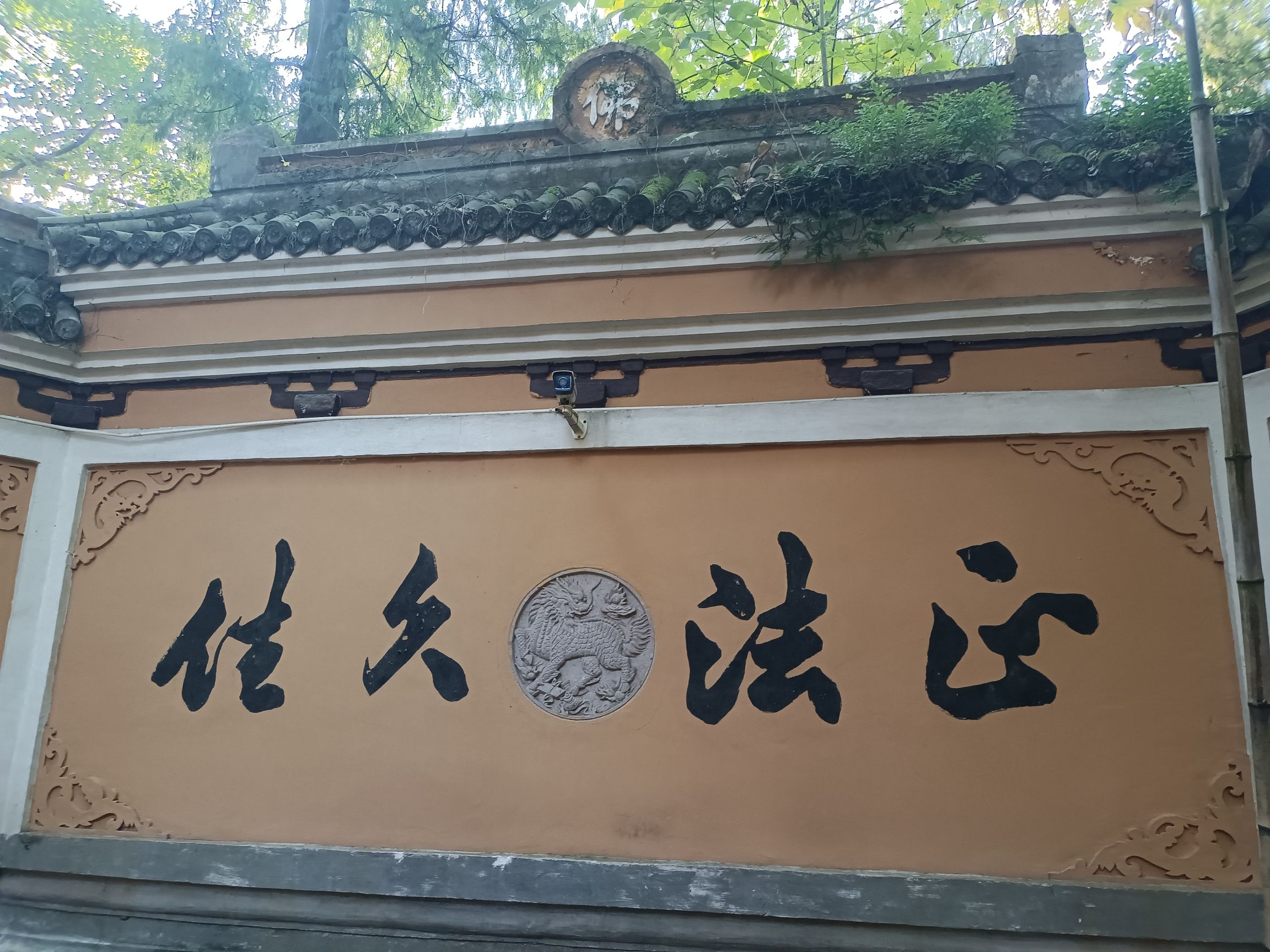 南峰公园旅行图片 3