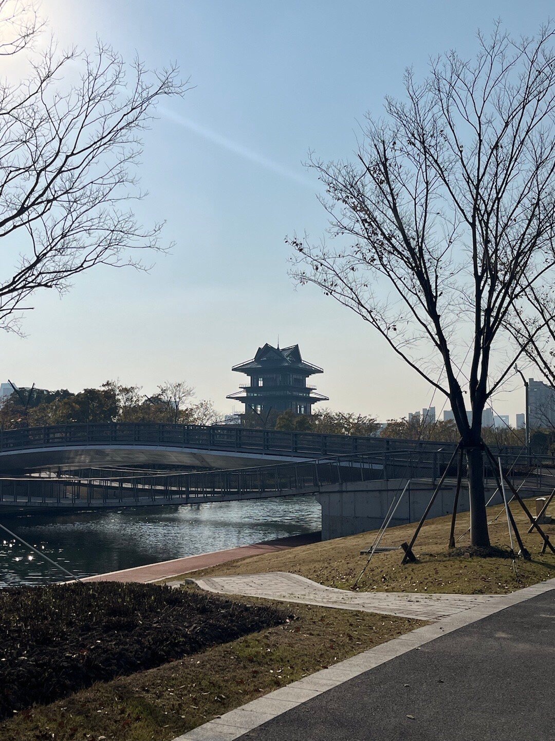 上海之鱼旅行图片 1