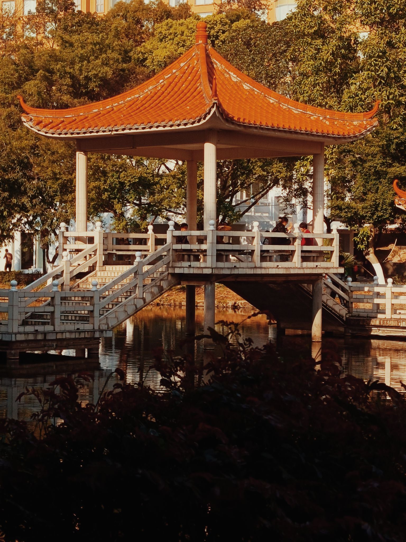 翠湖公园旅行图片 2
