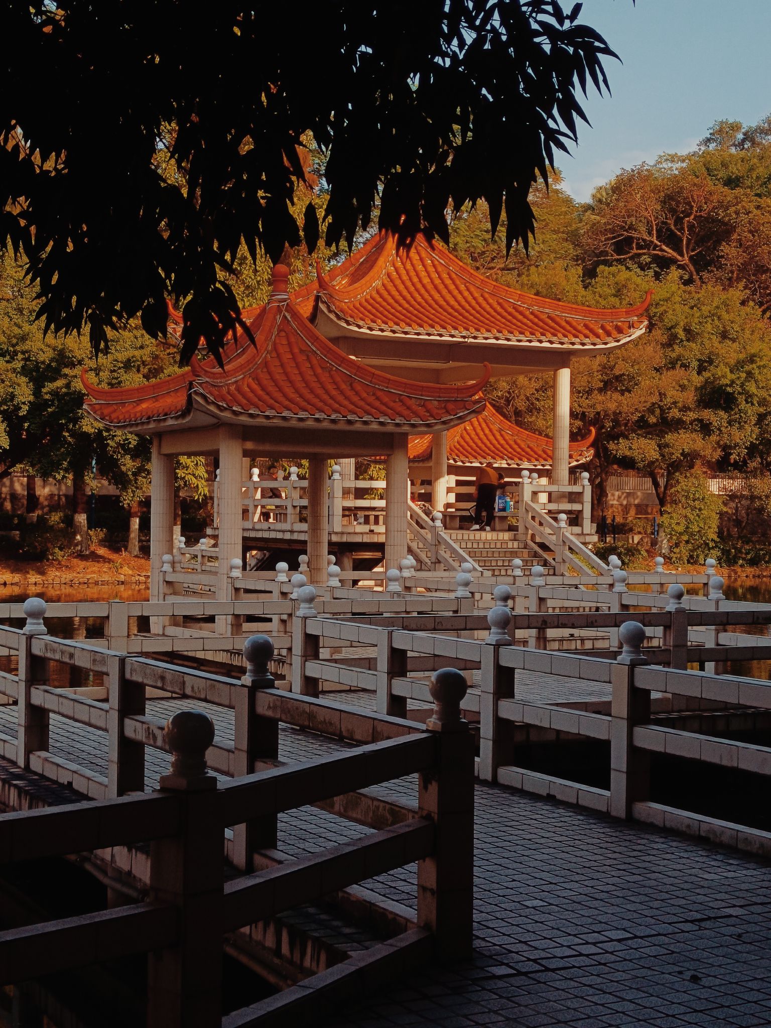 翠湖公园旅行图片 1