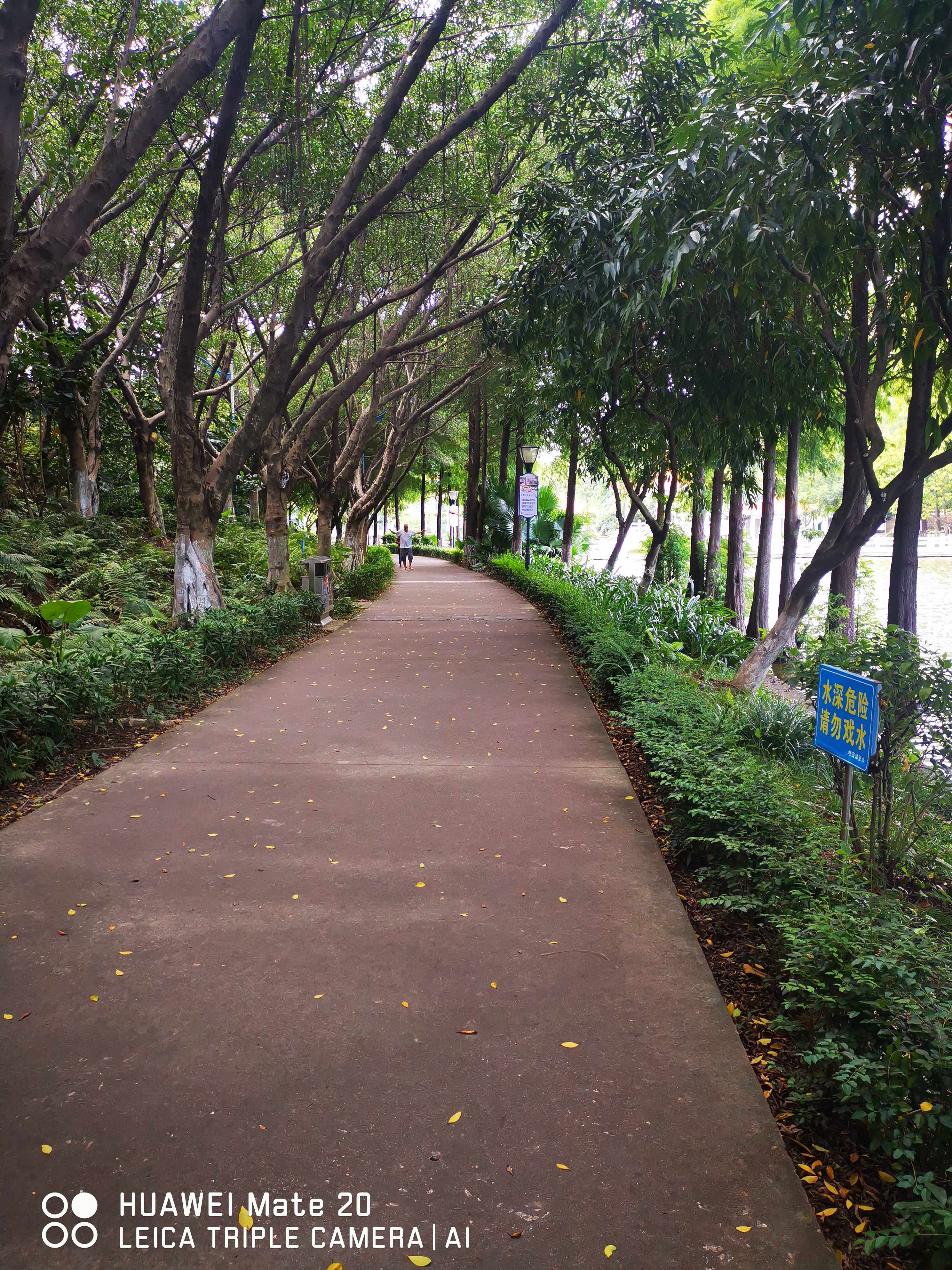 翠湖公园旅行图片 3