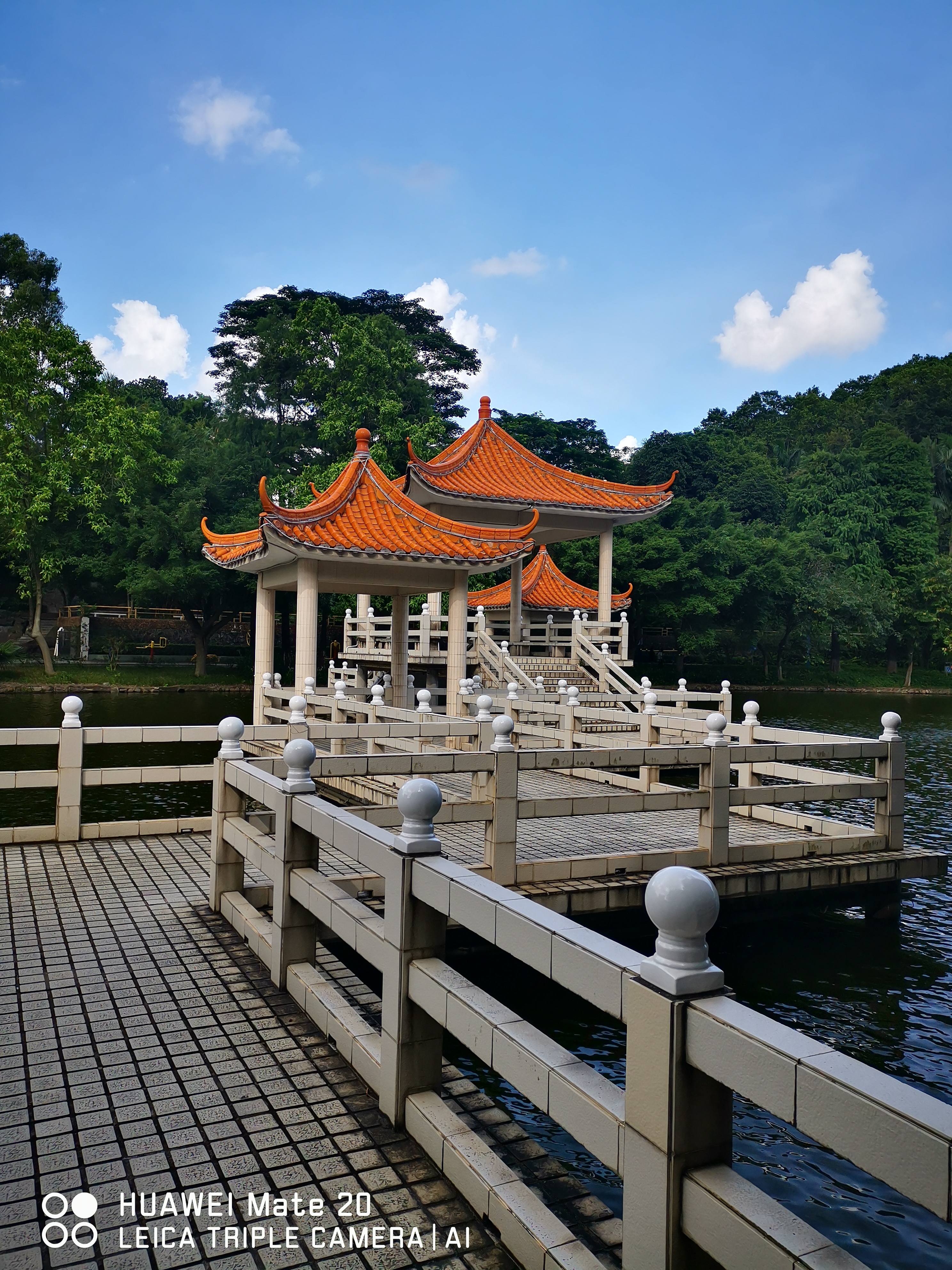 翠湖公园旅行图片 2