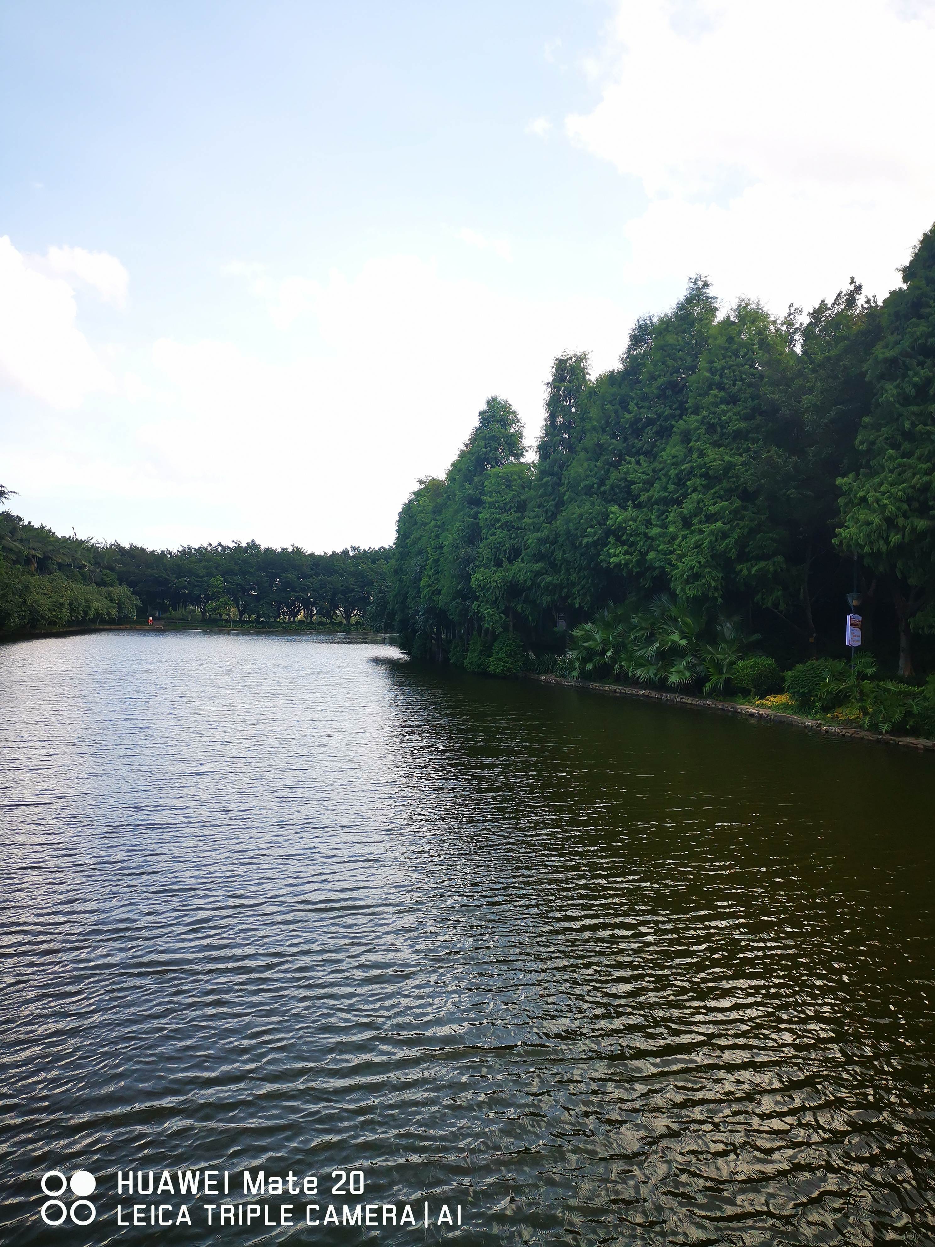 翠湖公园旅行图片 1