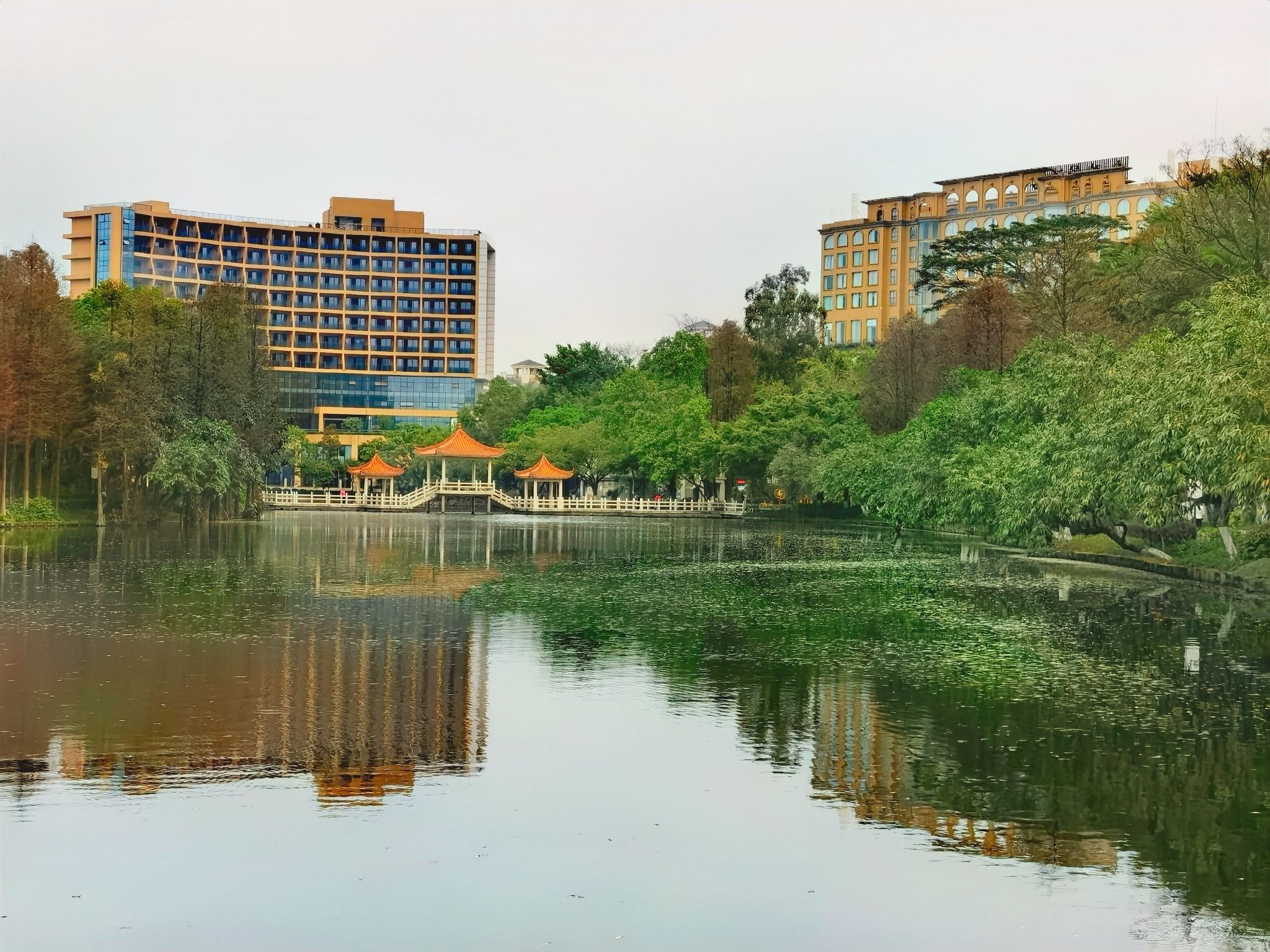 翠湖公园旅行图片 3