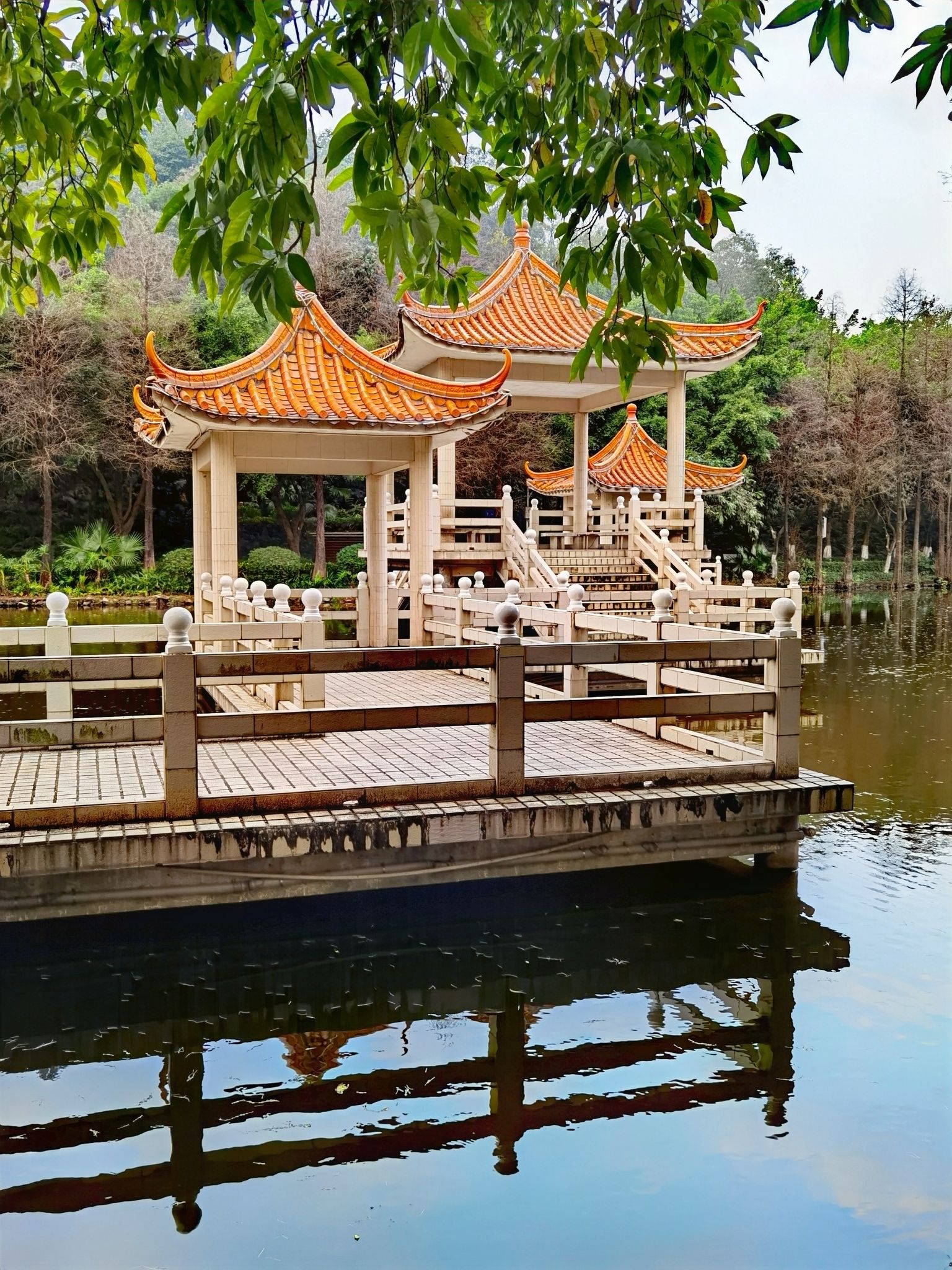 翠湖公园旅行图片 2