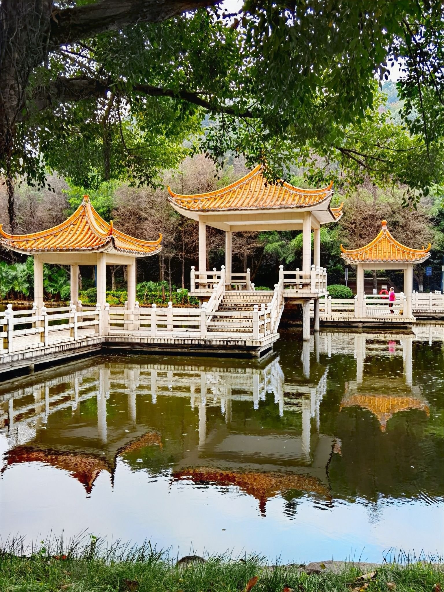 翠湖公园旅行图片 1