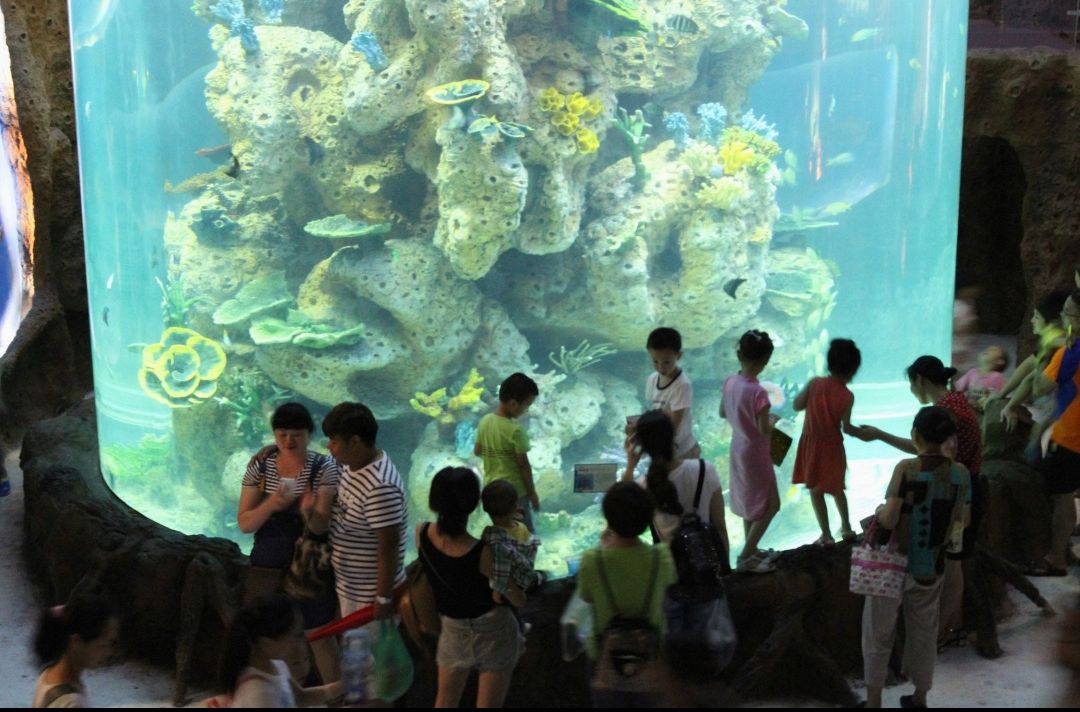 武夷山极地海洋公园旅行图片 2