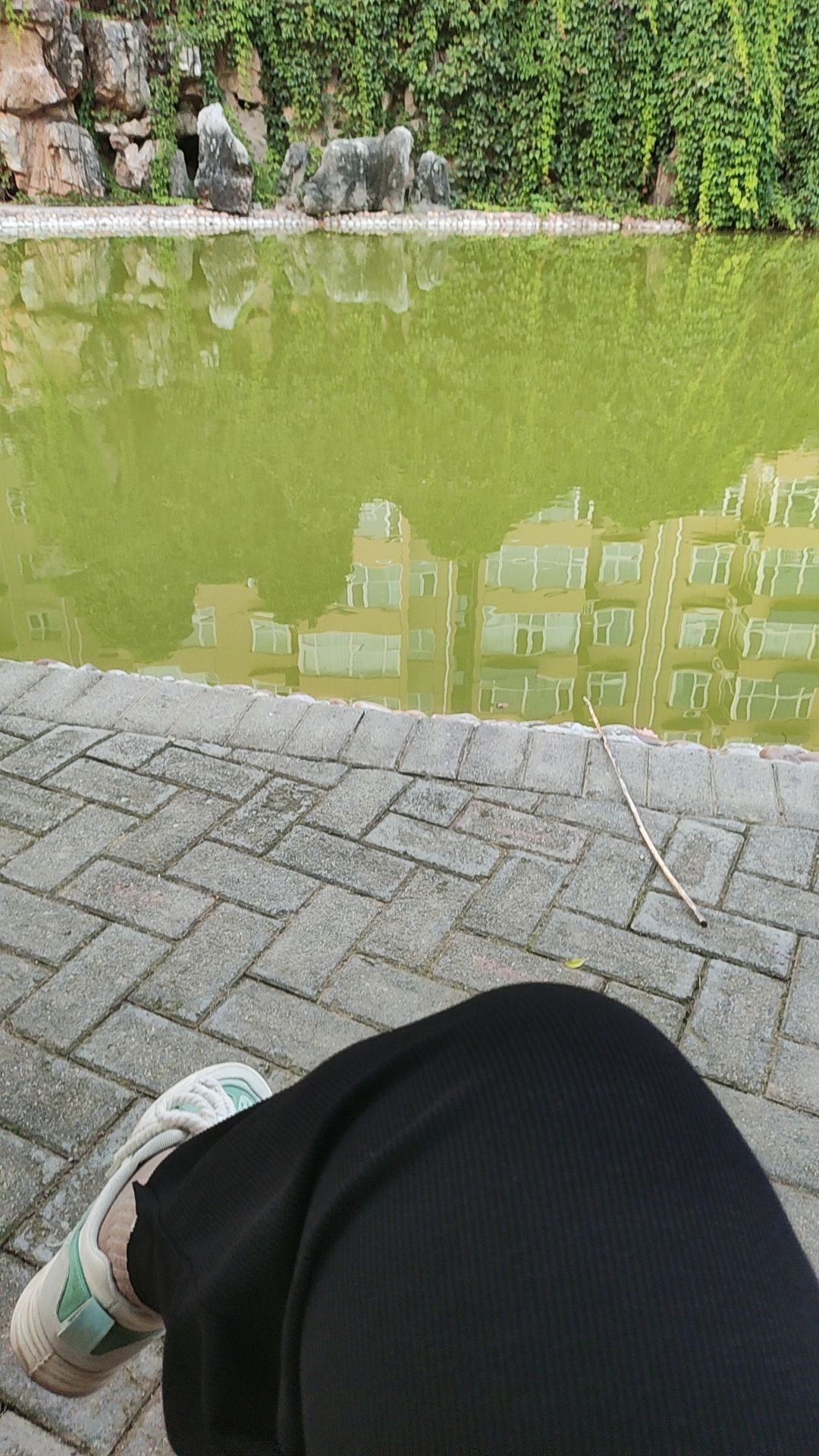 安国市药用植物公园旅行图片 1