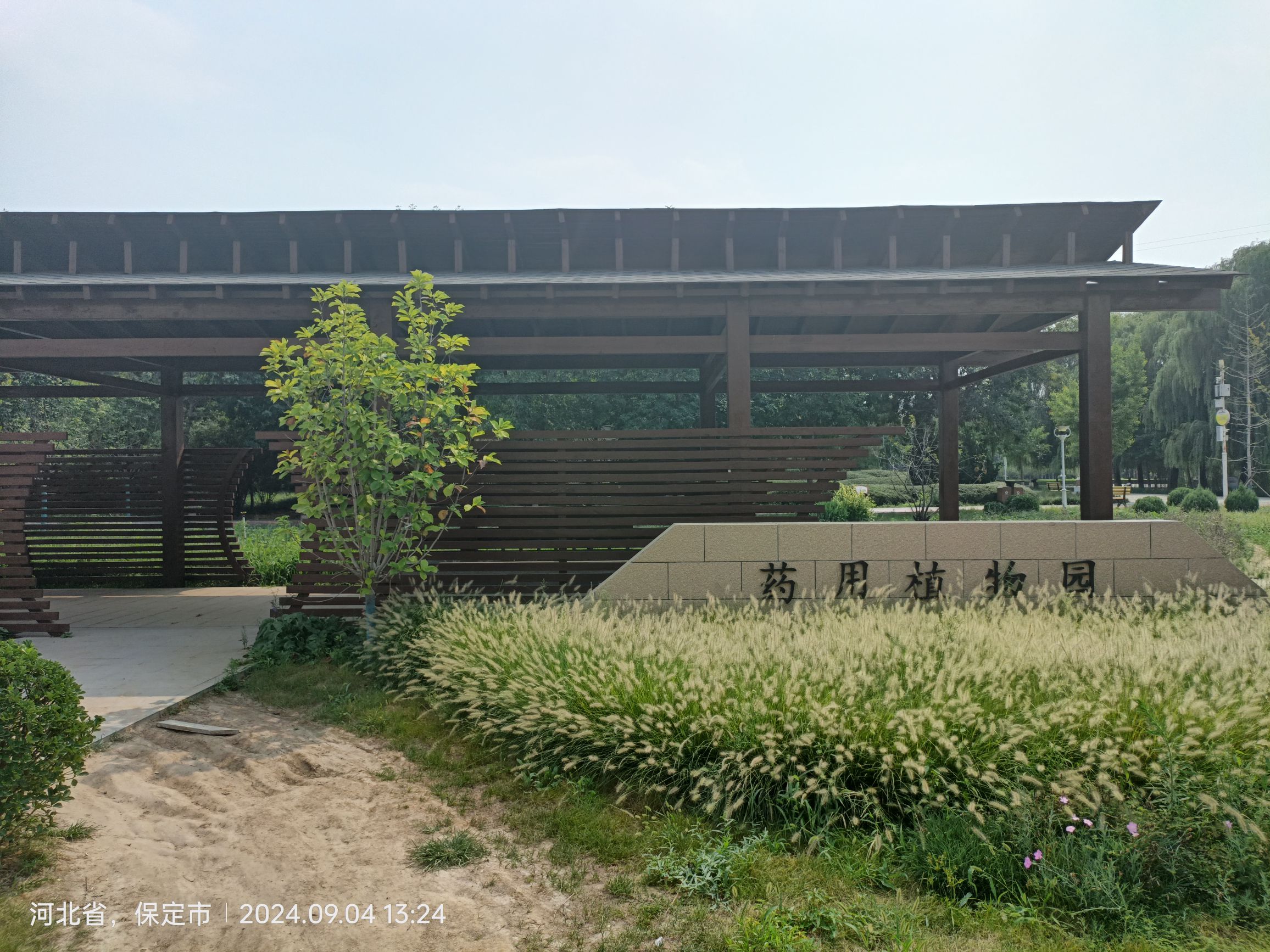 安国市药用植物公园旅行图片 1