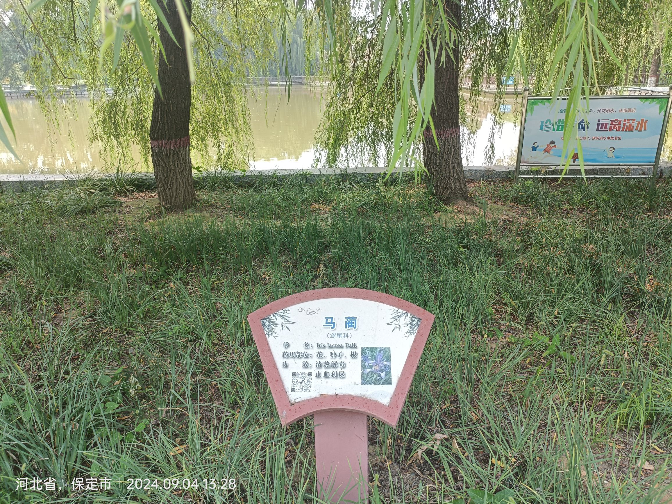 安国市药用植物公园旅行图片 3